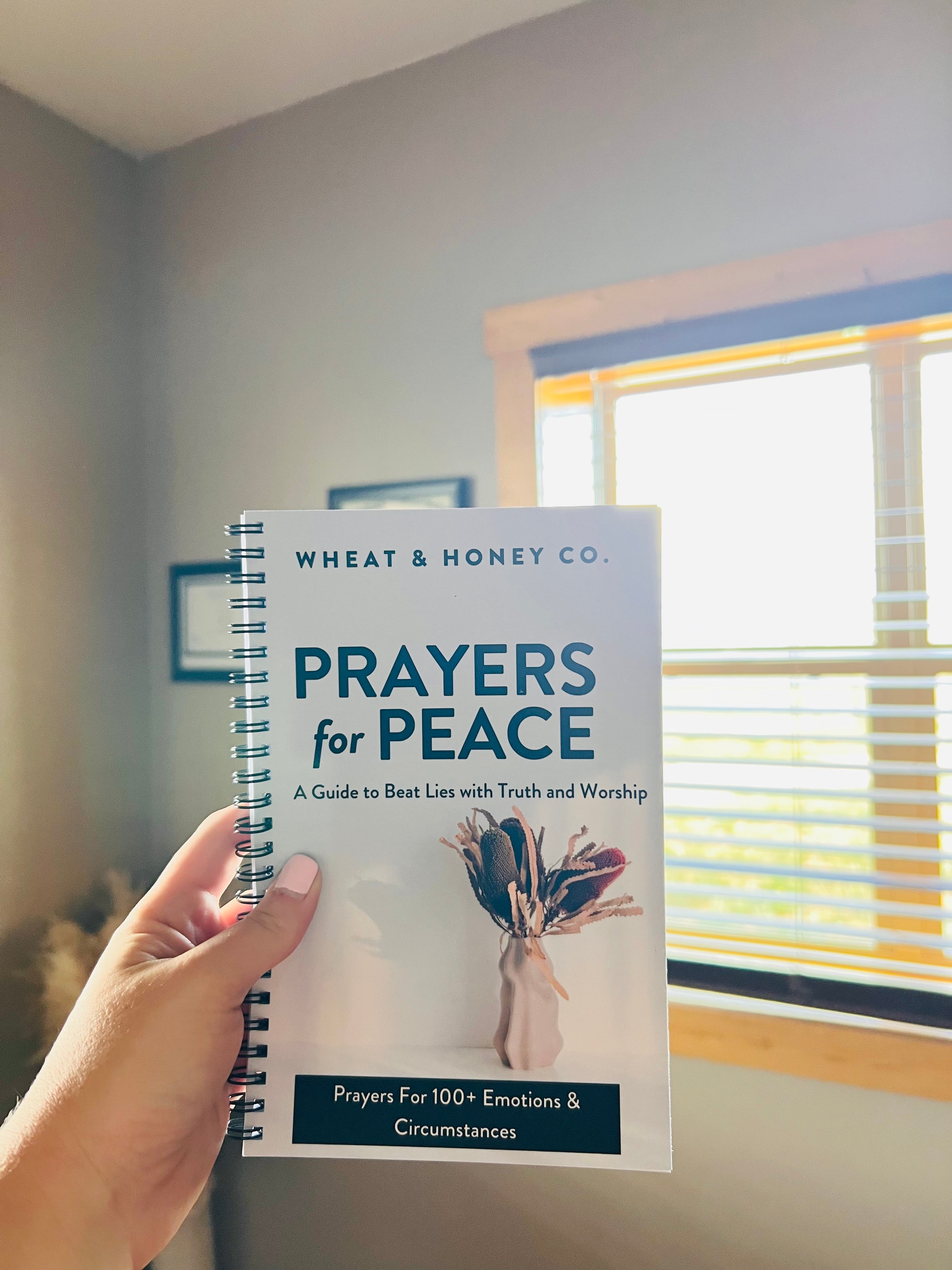 Prayers for Peace — A Guide to Beat Lies with Truth and Worship