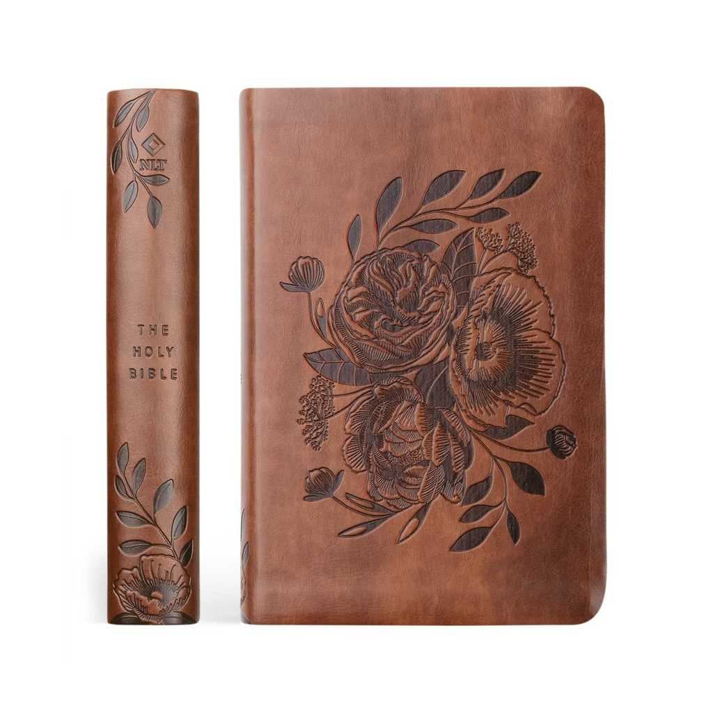NLT Compact Bible | Aurora Theme