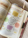 Brothers & Sisters in Christ" — Adelphos Greek Word Study Bible Tipin Insert