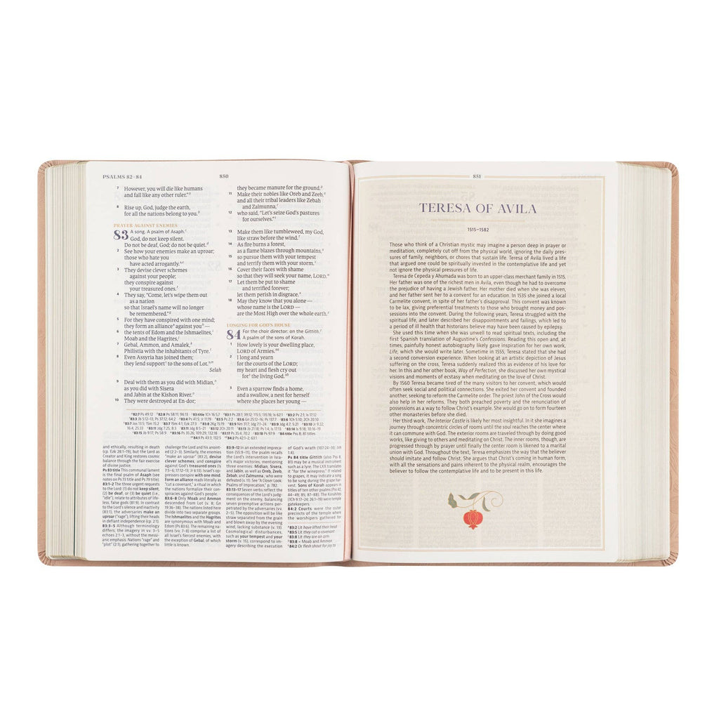 CSB Women's Study Bible: Sonora Theme