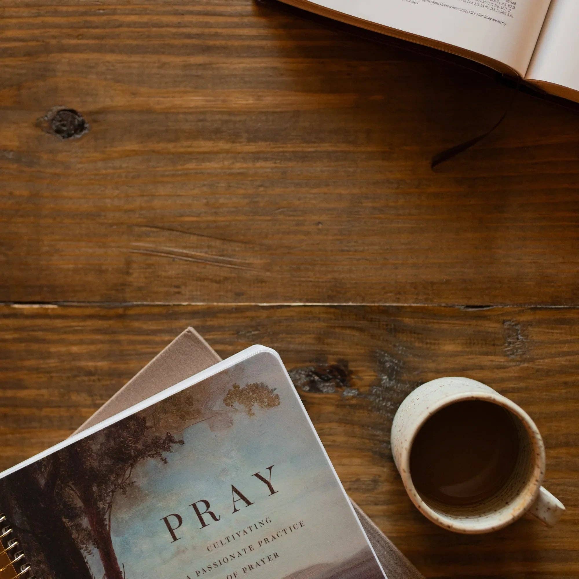 Pray — Cultivating a Passionate Practice of Prayer — Spiral Bible Study