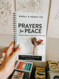 Prayers for Peace — A Guide to Beat Lies with Truth and Worship