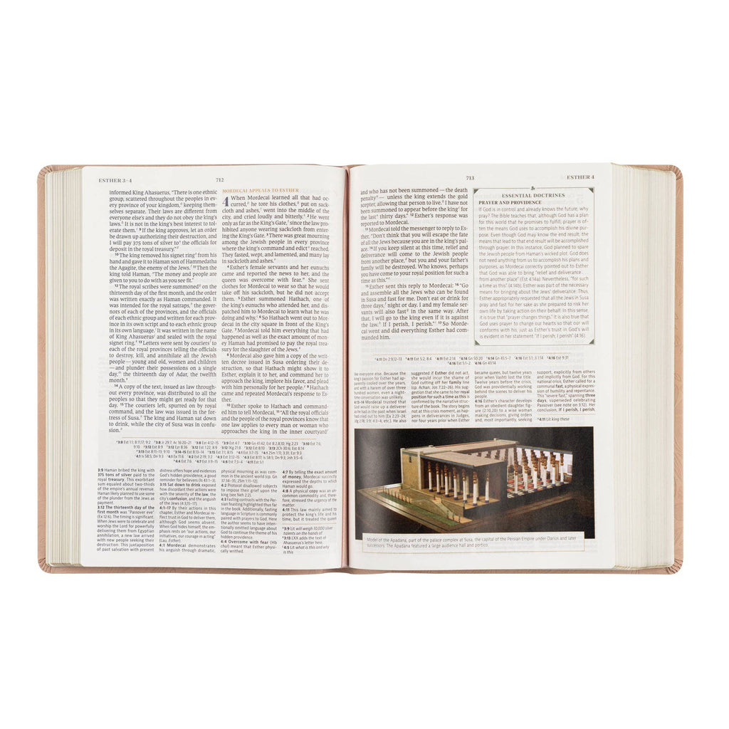CSB Women's Study Bible: Sonora Theme