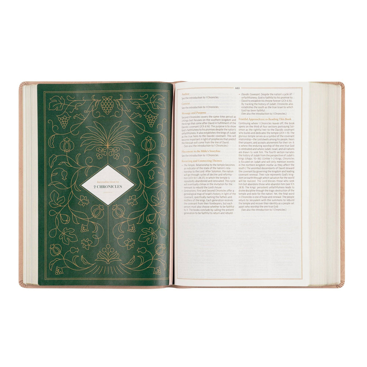 CSB Women's Study Bible: Sonora Theme