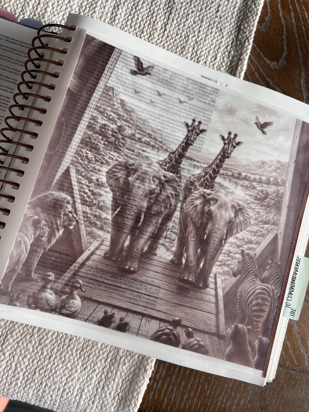 Vellum Print Pack — 35 Assorted 5x7 Bible Journaling Vellum Prints — Right as Reign Co. Originals