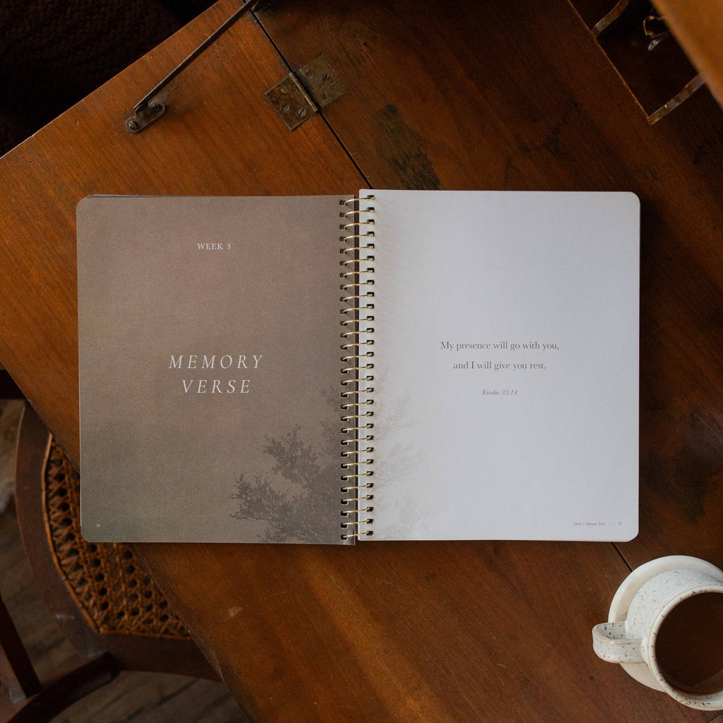 Made for Him Spiral Bible Study — Rest in Christ for Restless Hearts — 6 Week Bible Study for Women