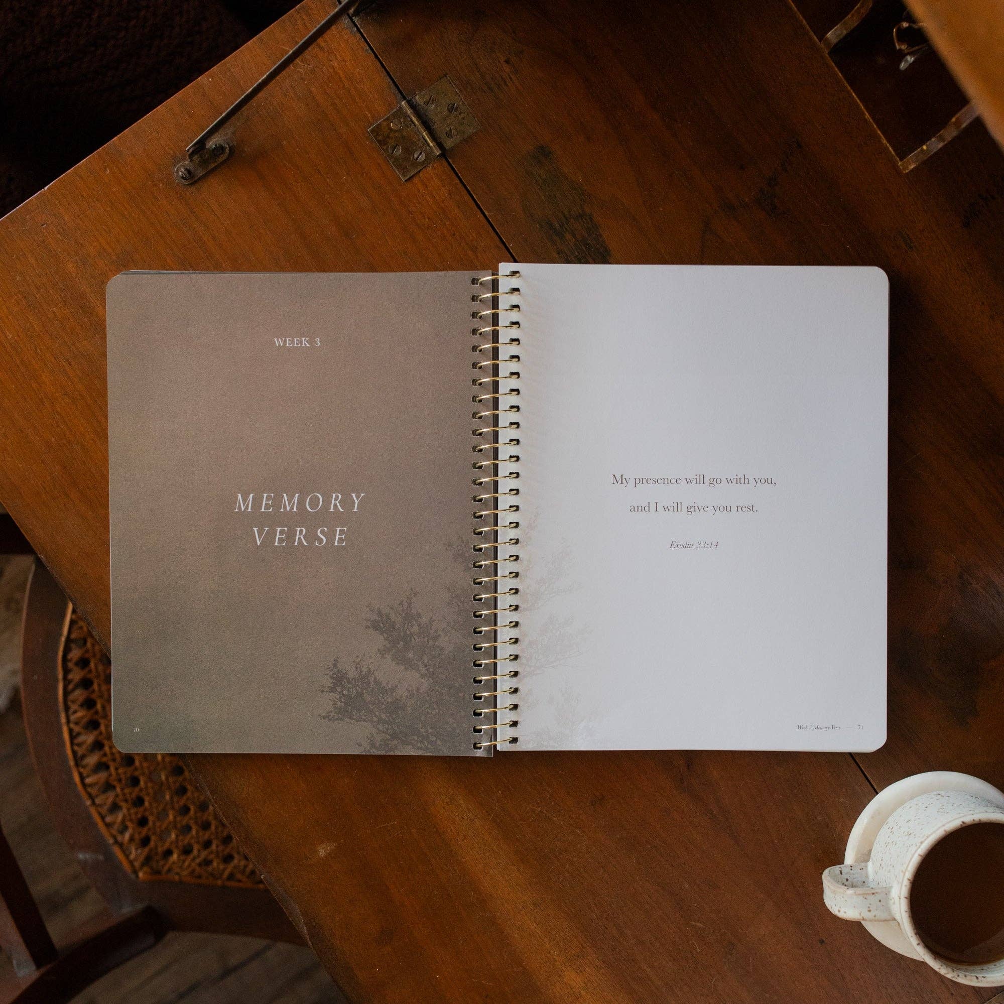 Made for Him Spiral Bible Study — Rest in Christ for Restless Hearts — 6 Week Bible Study for Women
