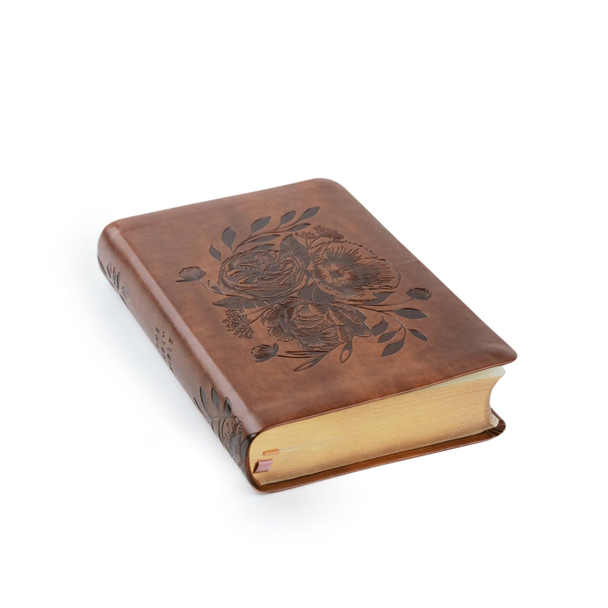 NLT Compact Bible | Aurora Theme