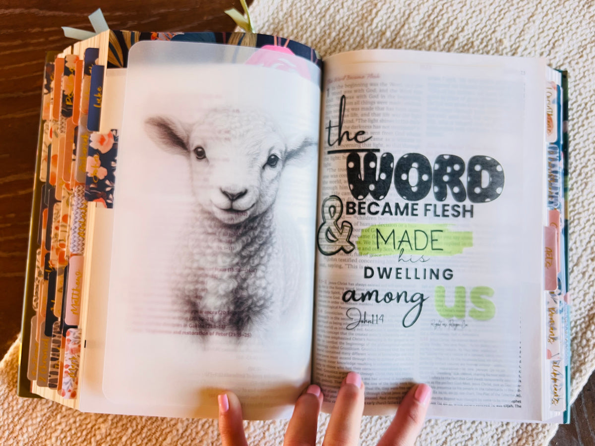 NLT Loaded Compact Bible PREORDER