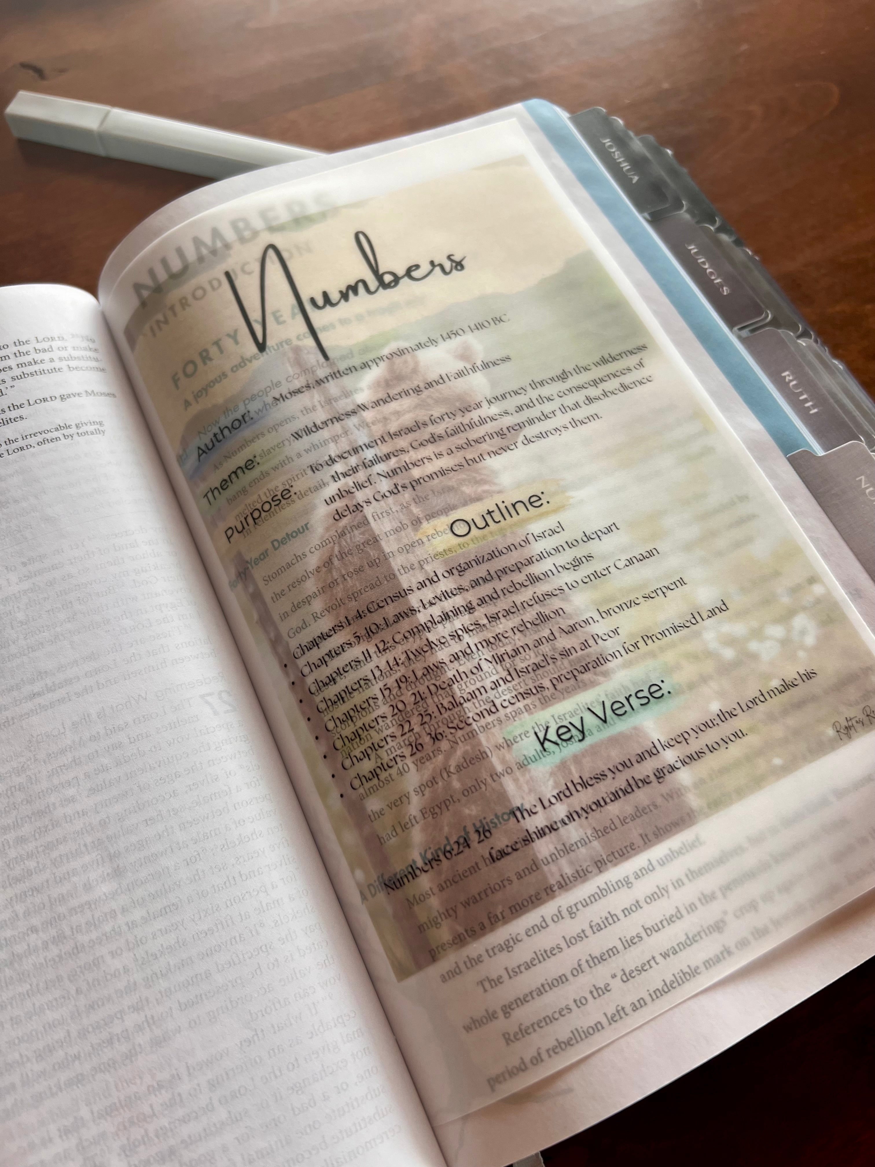 Men’s Bible Book Summary Insert Pack — Complete 66 Book Digital Download for Bible Journaling