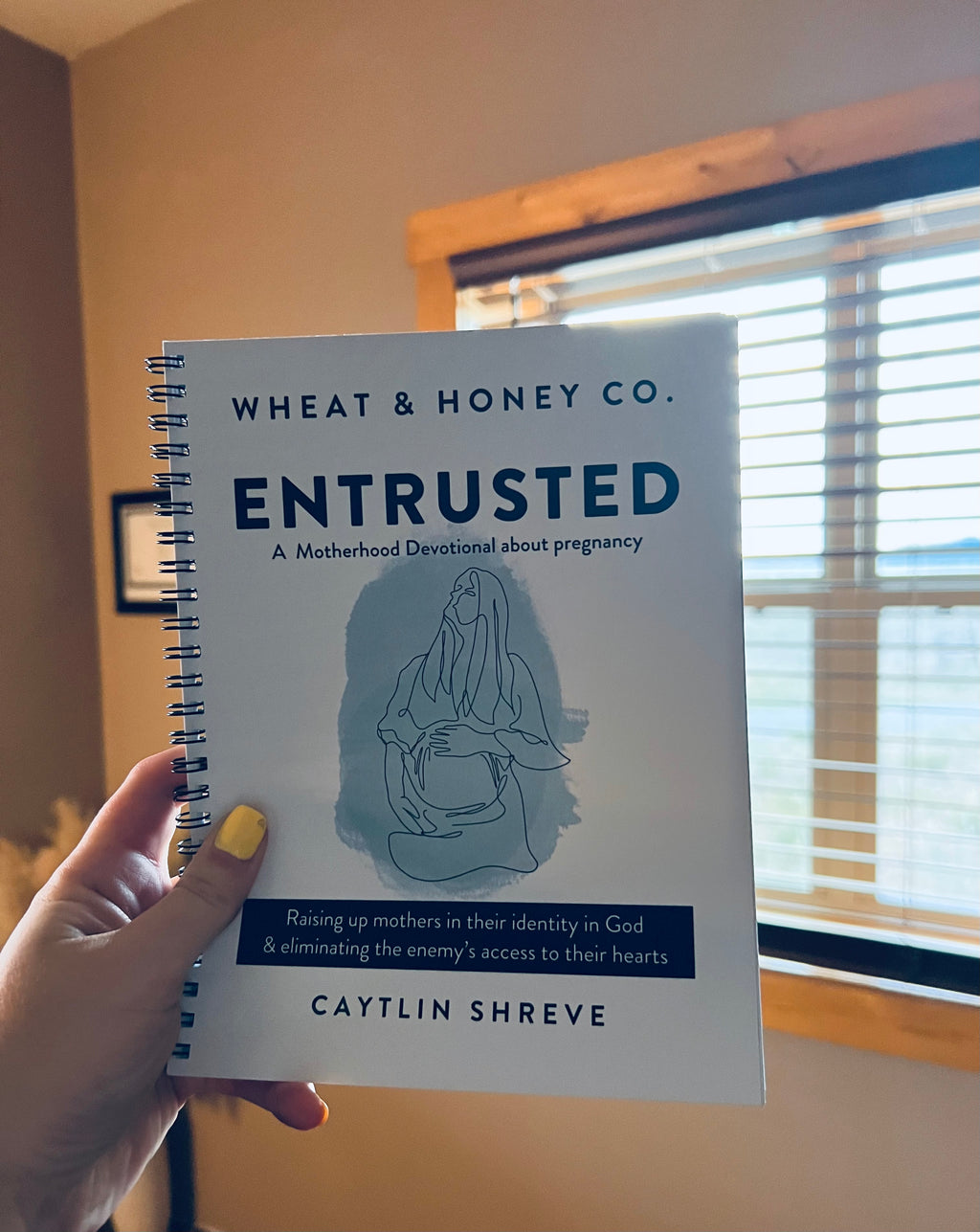 ENTRUSTED — A Motherhood Devotional About Pregnancy