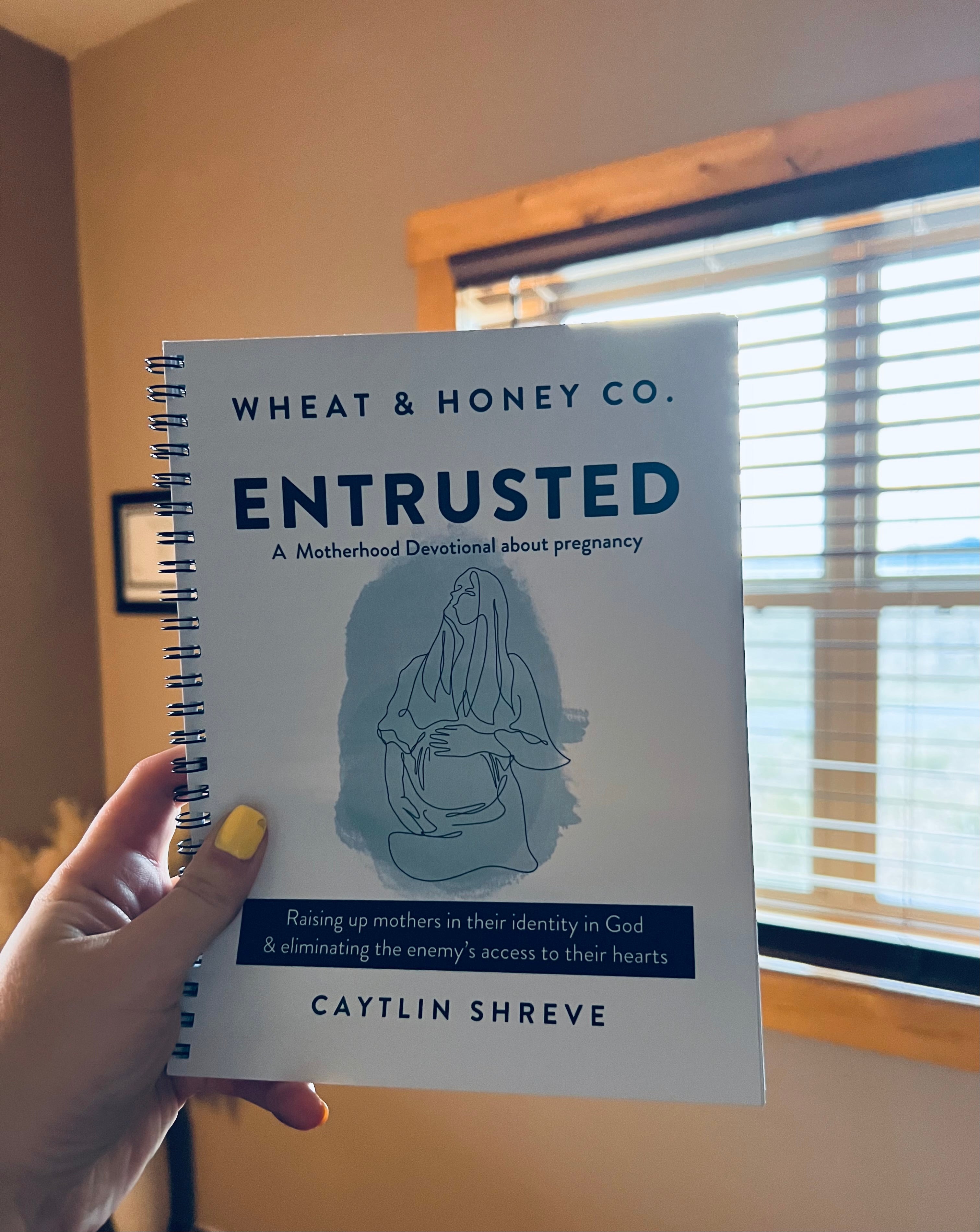 ENTRUSTED — A Motherhood Devotional About Pregnancy