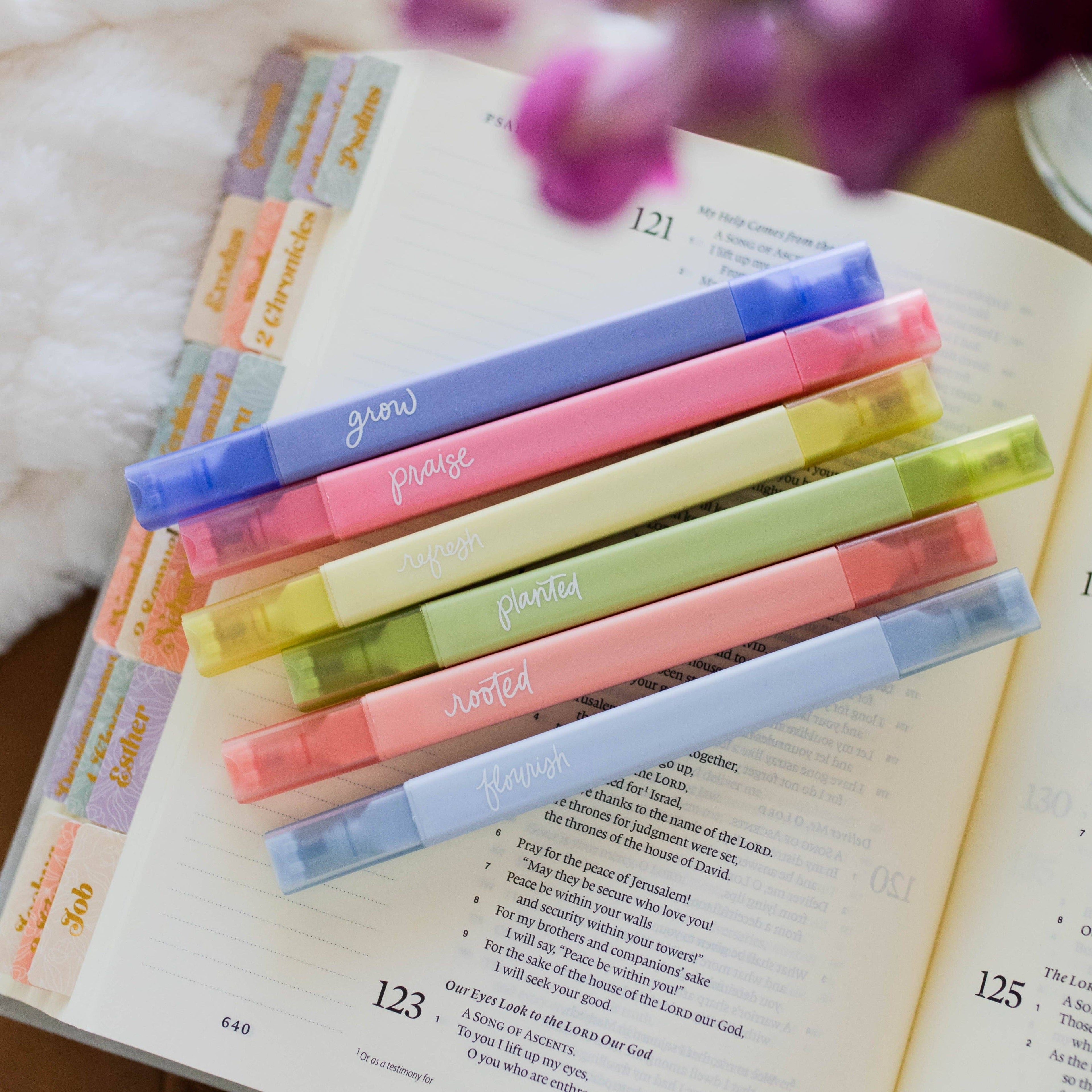 Garden Highlighter Set — 6 Color Dual Tip Bible Highlighters with No Bleed Technology