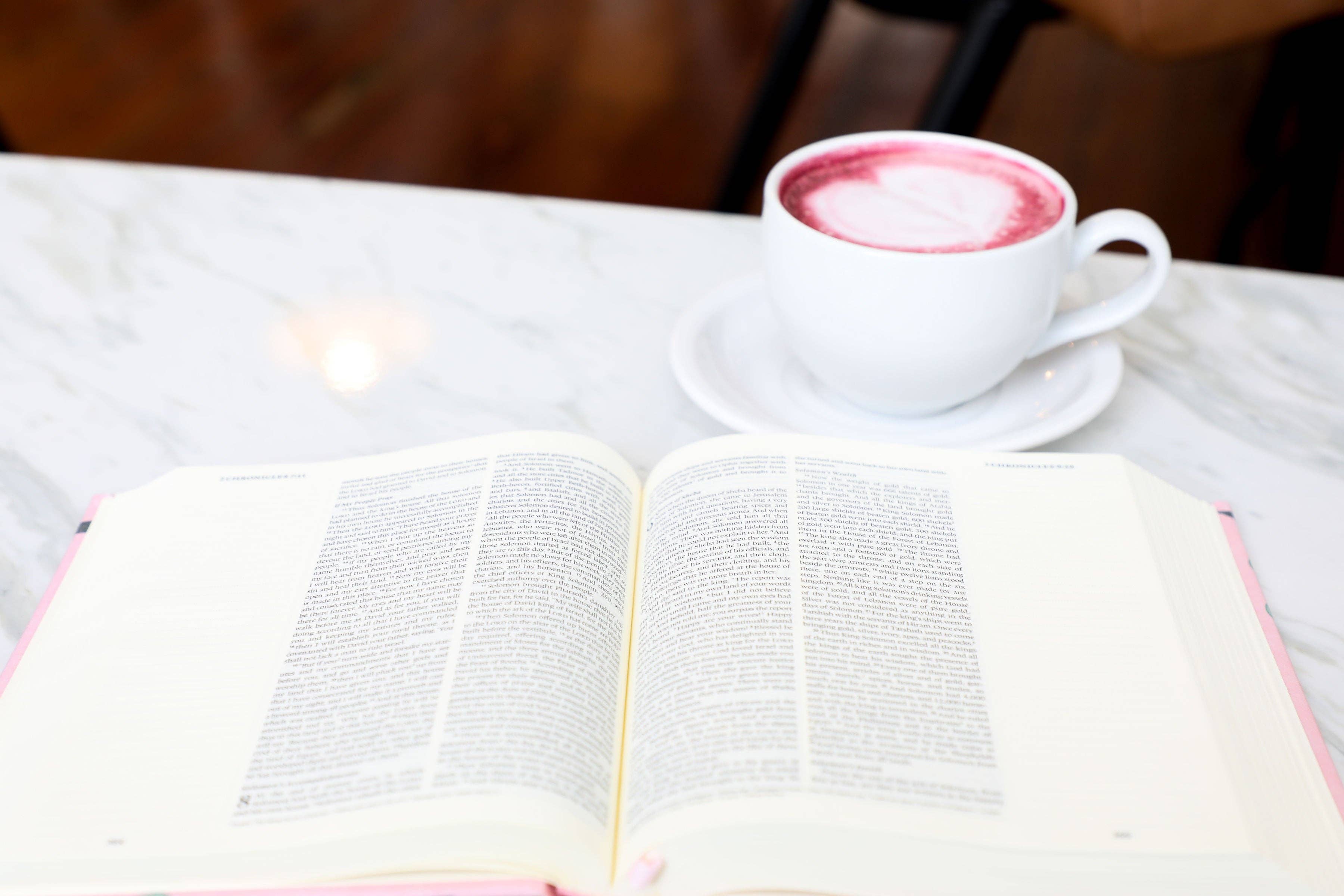 ESV Journaling Bible — Blush Hardcover — Perfect for Journaling on the Go