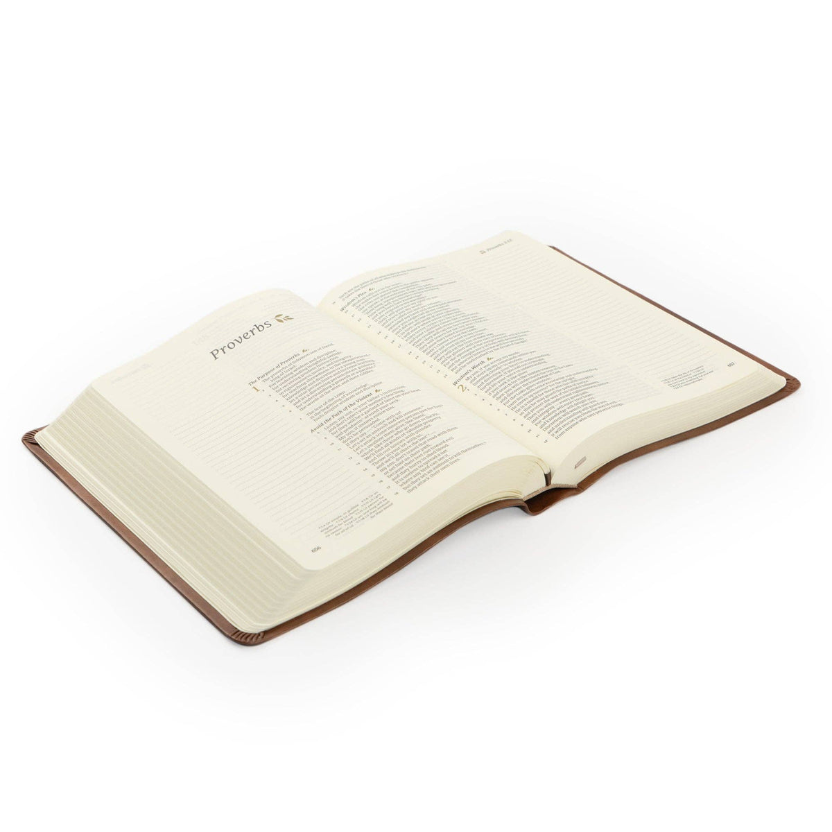 CSB Notetaking Bible | Edinburgh Theme