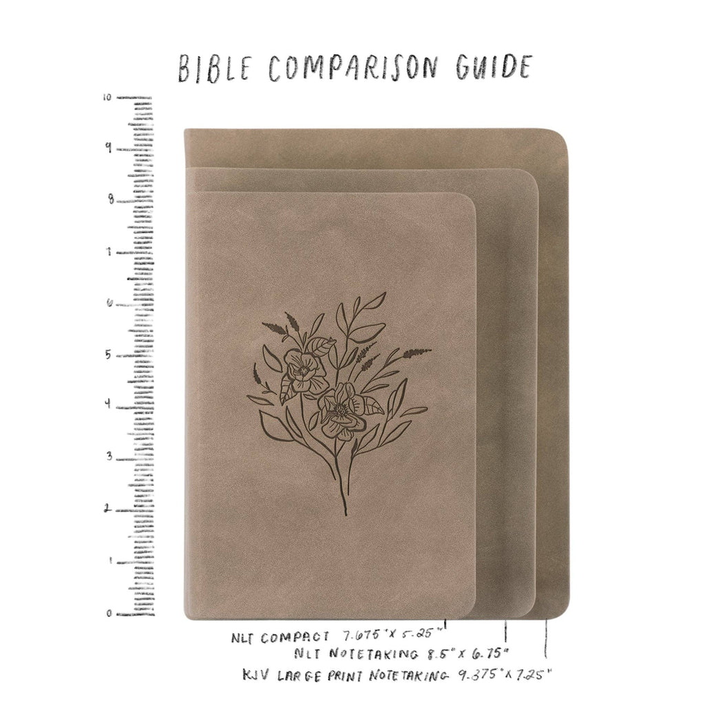 NLT Compact Bible | Aurora Theme