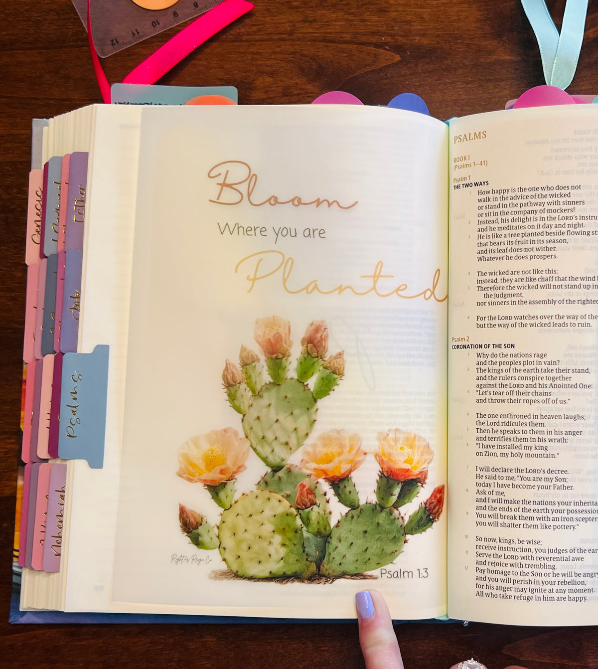 "Bloom Where You Are Planted" — Psalm 1:3 Bible Tipin Insert
