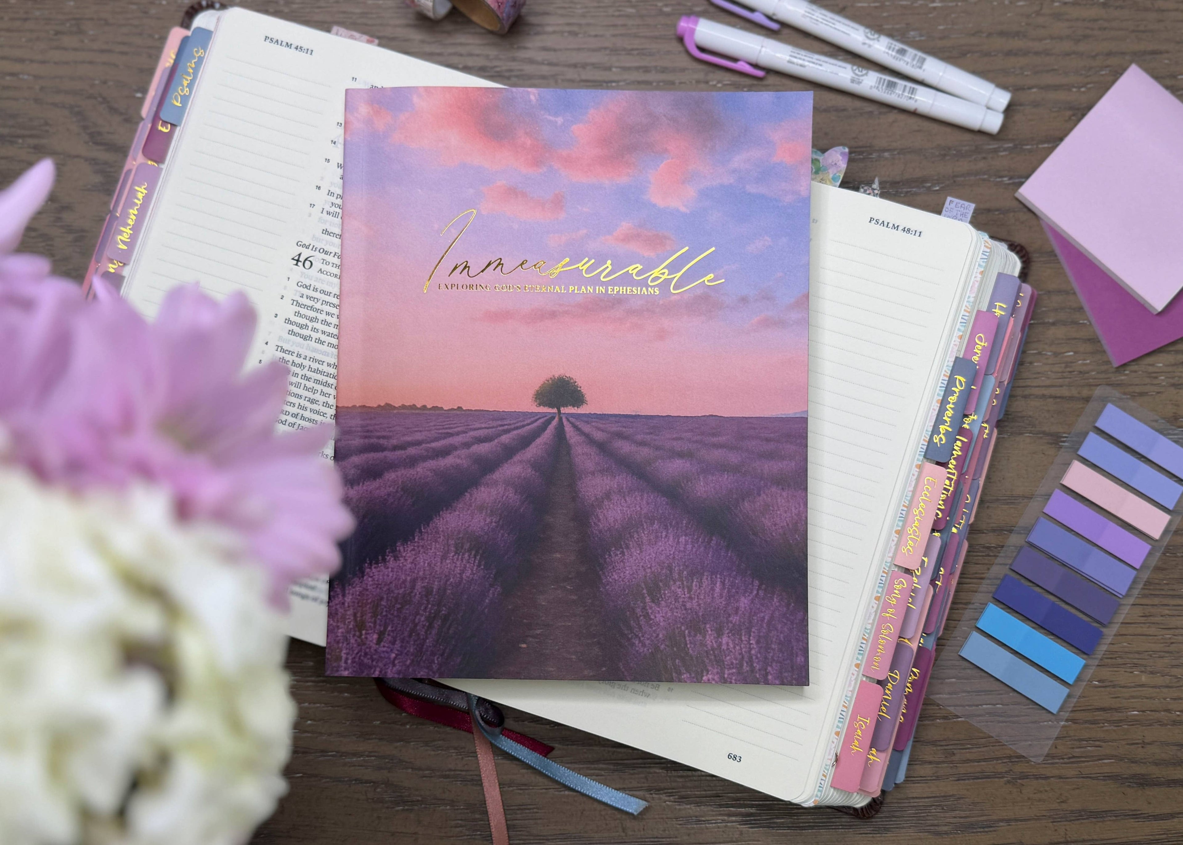 Immeasurable — A 5 Week Ephesians Bible Study