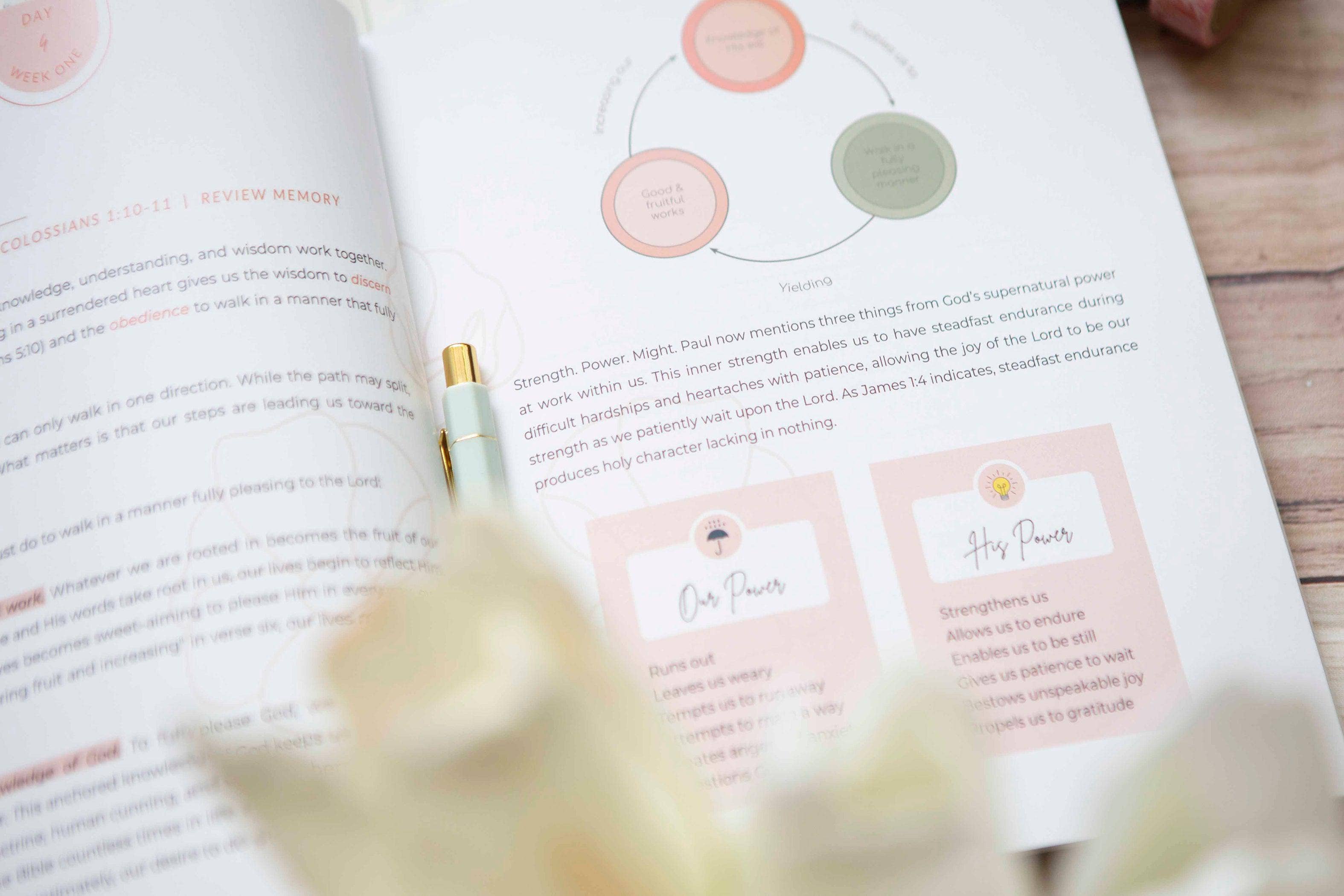 Colossians Bible Study | Exalted