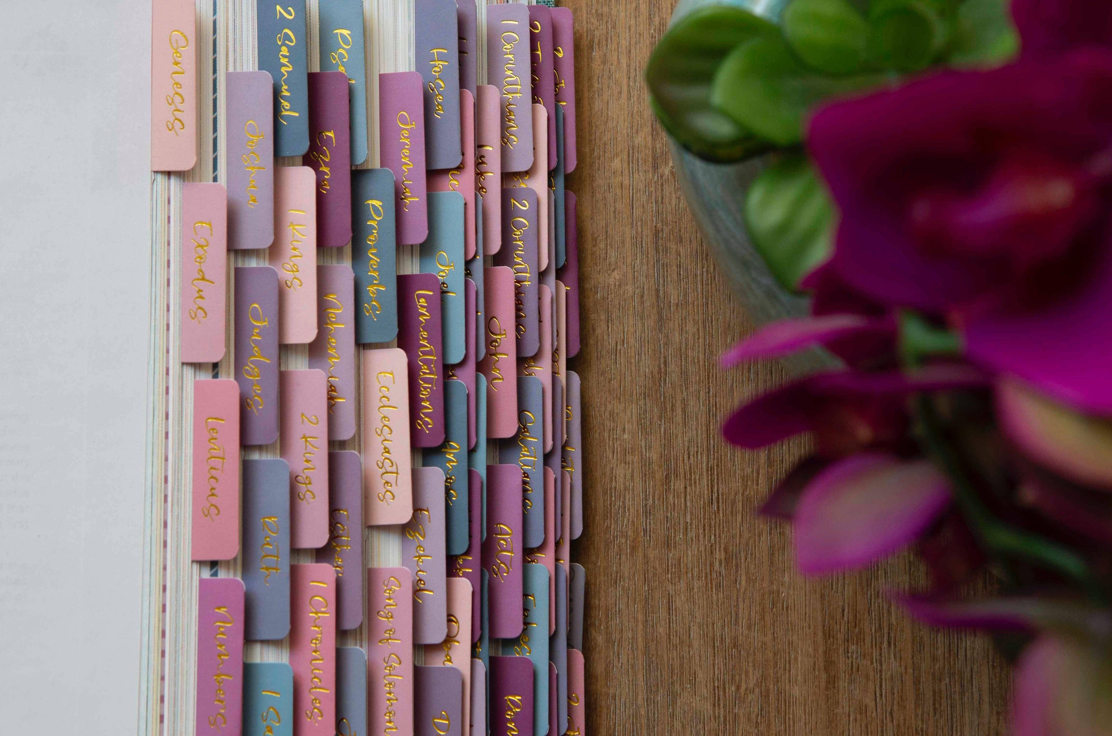 Ombre Bible Index Tabs