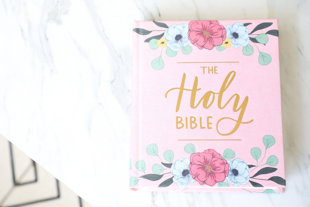 ESV Journaling Bible — Blush Hardcover — Perfect for Journaling on the Go
