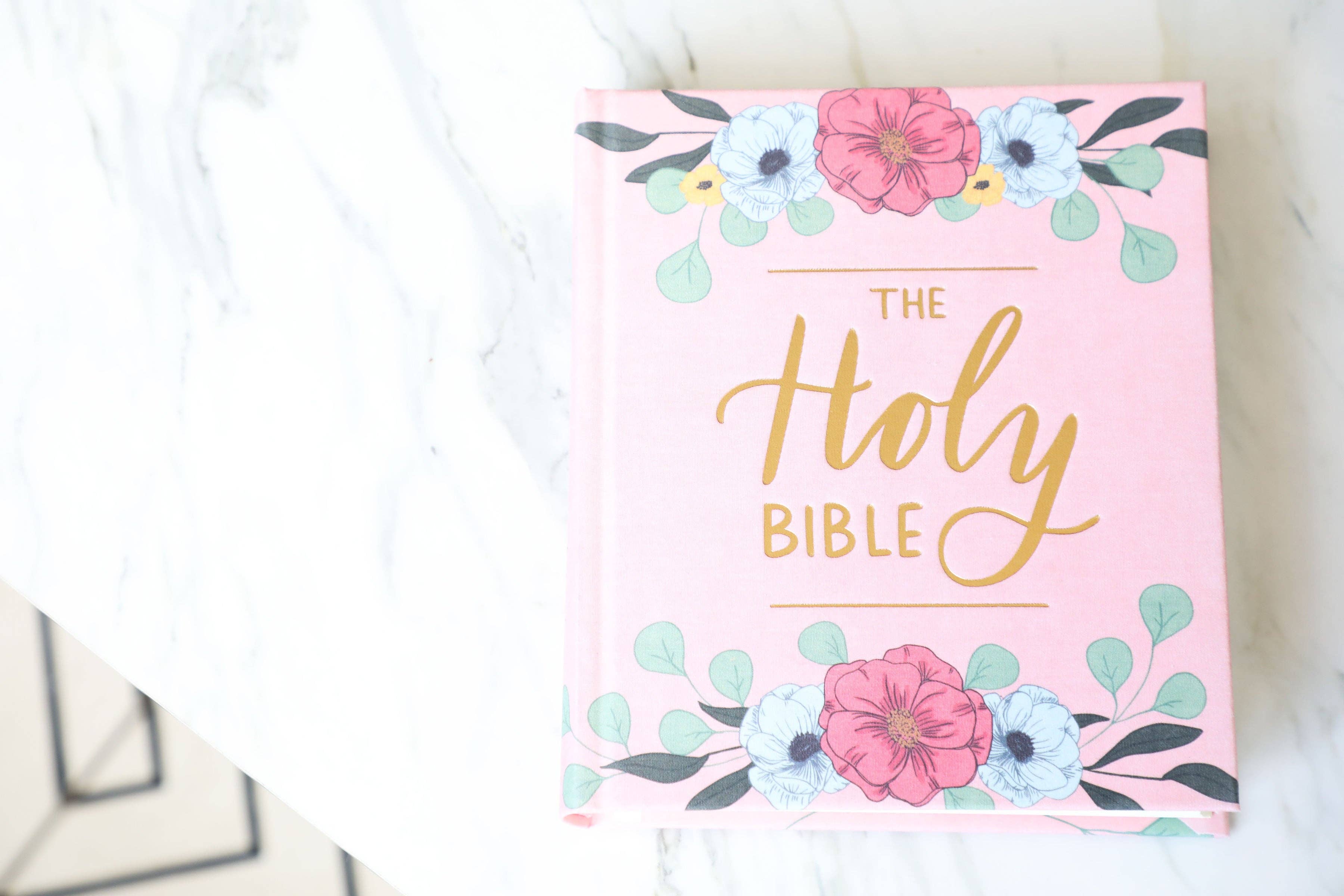 ESV Journaling Bible — Blush Hardcover — Perfect for Journaling on the Go