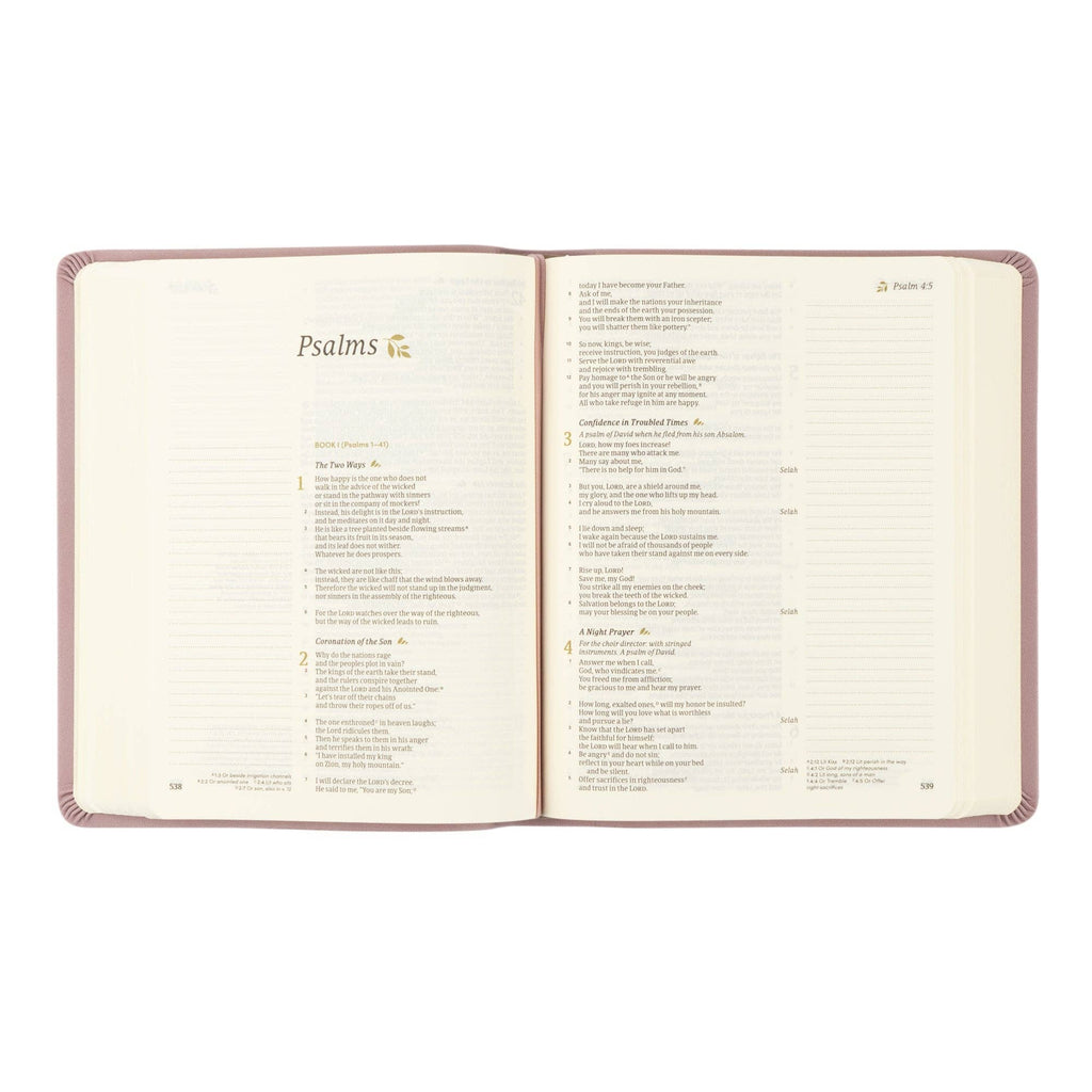 CSB Notetaking Bible | Mauves Theme