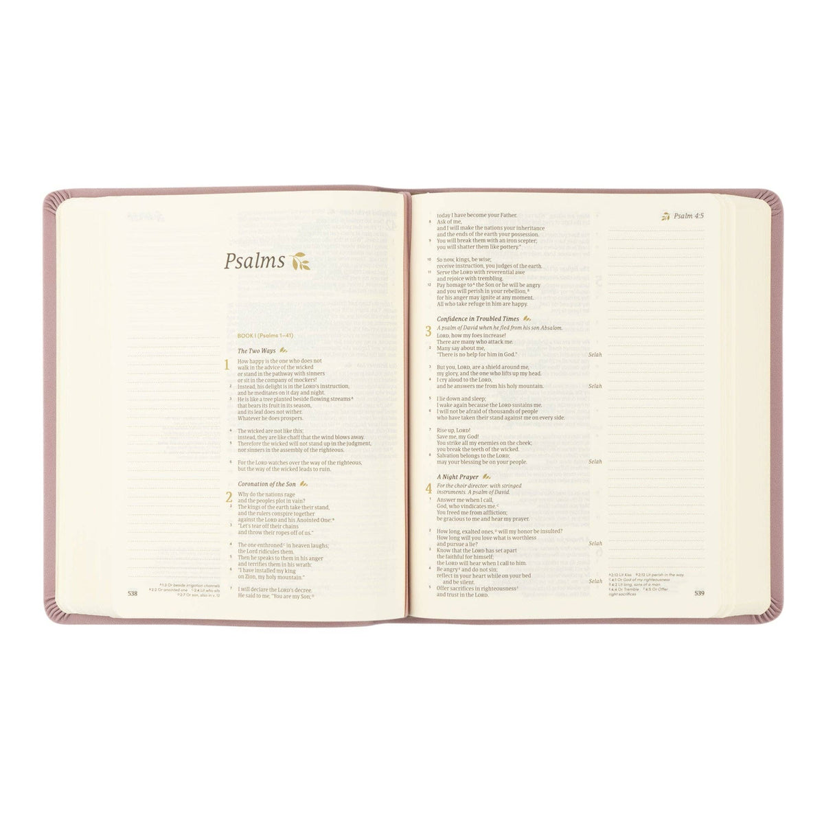 CSB Notetaking Bible | Mauves Theme