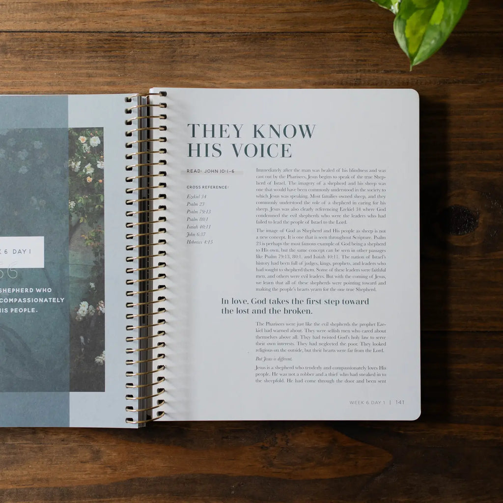 Come and See — A 10 week study on the book of John