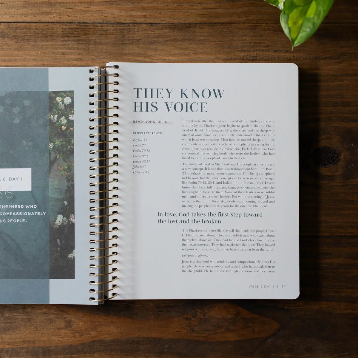 Come and See — A 10 week study on the book of John