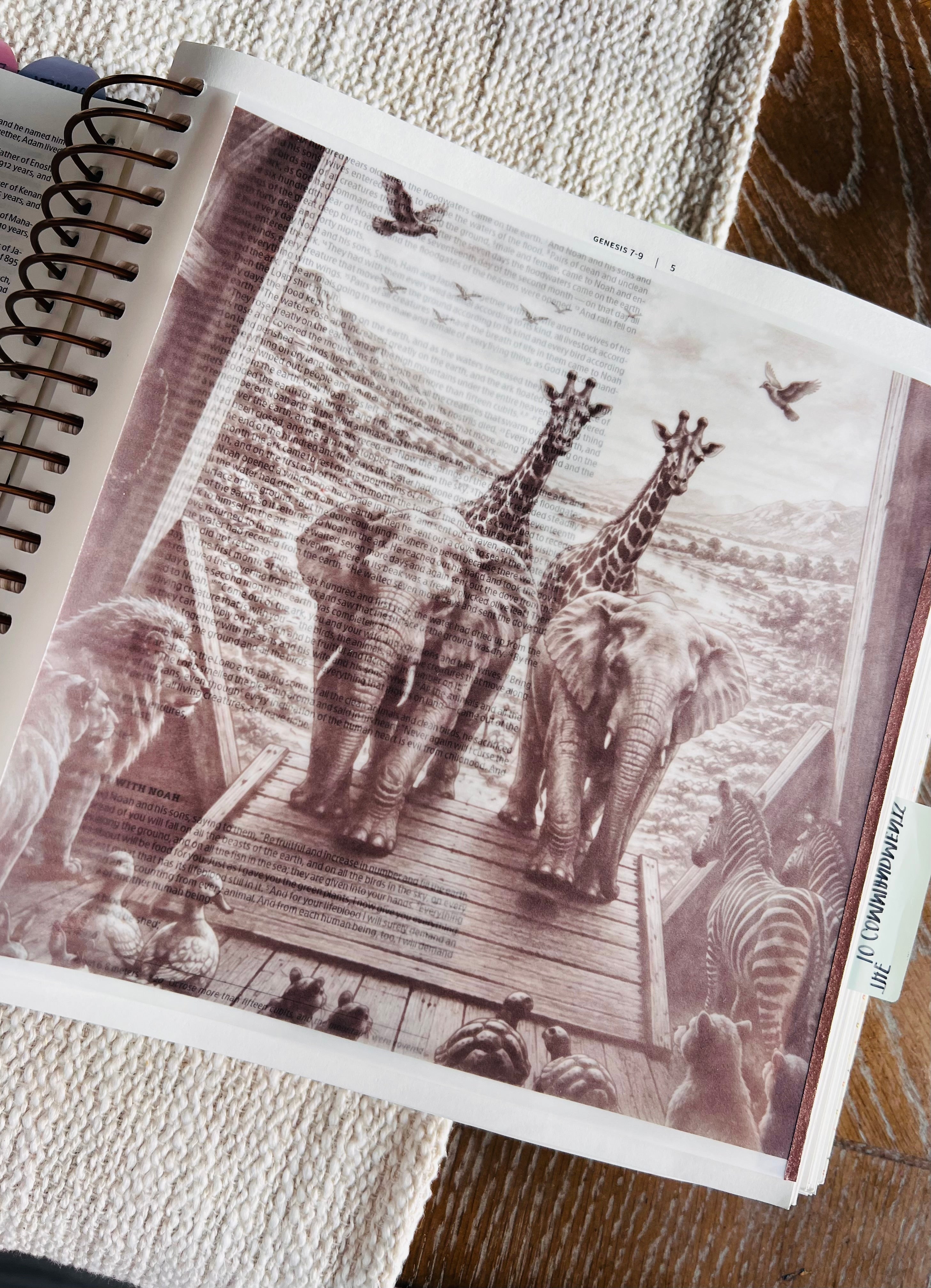 Noah’s Ark Tip-In — Black and White 5x7 Bible Journaling Printable — DIGITAL DOWNLOAD