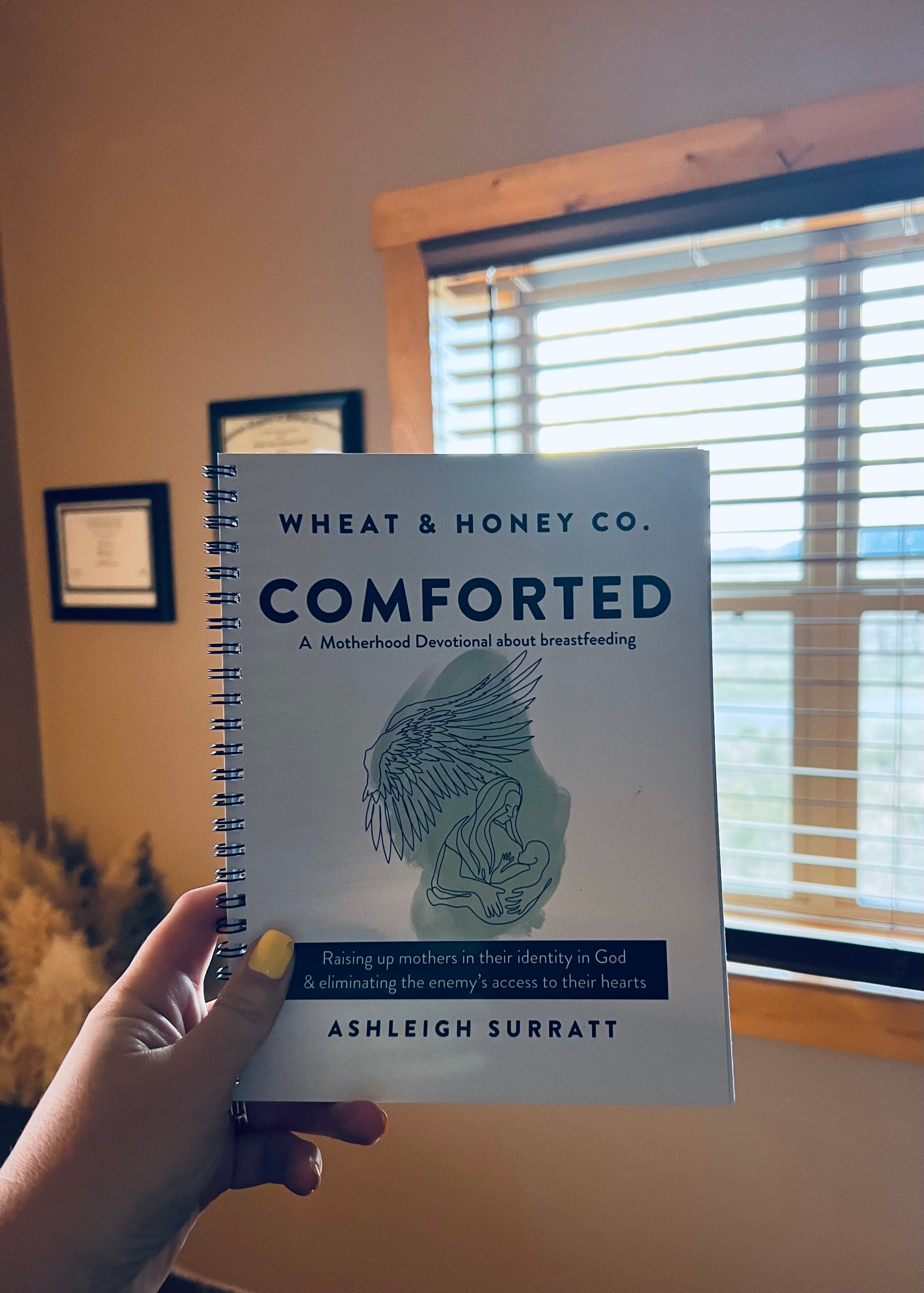 Comforted: A Motherhood Devotional about Breastfeeding