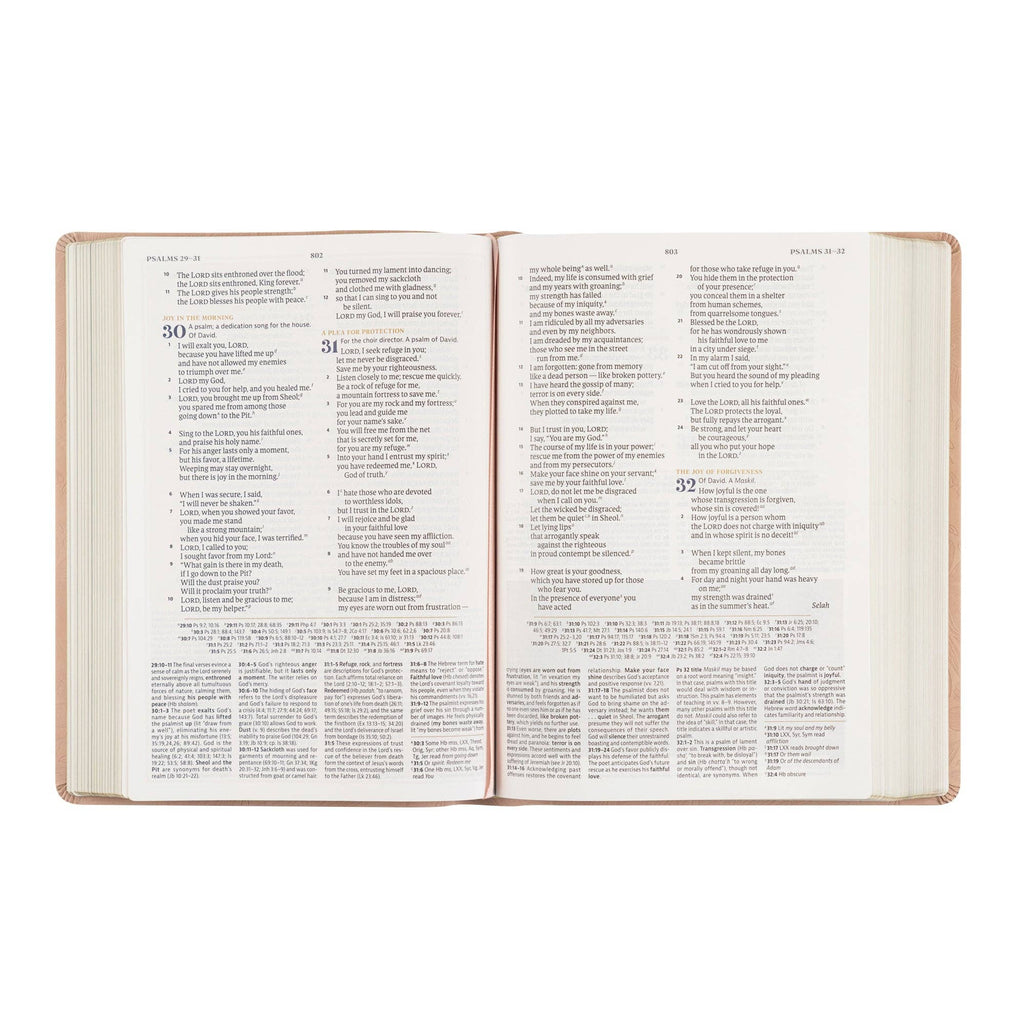 CSB Women's Study Bible: Sonora Theme