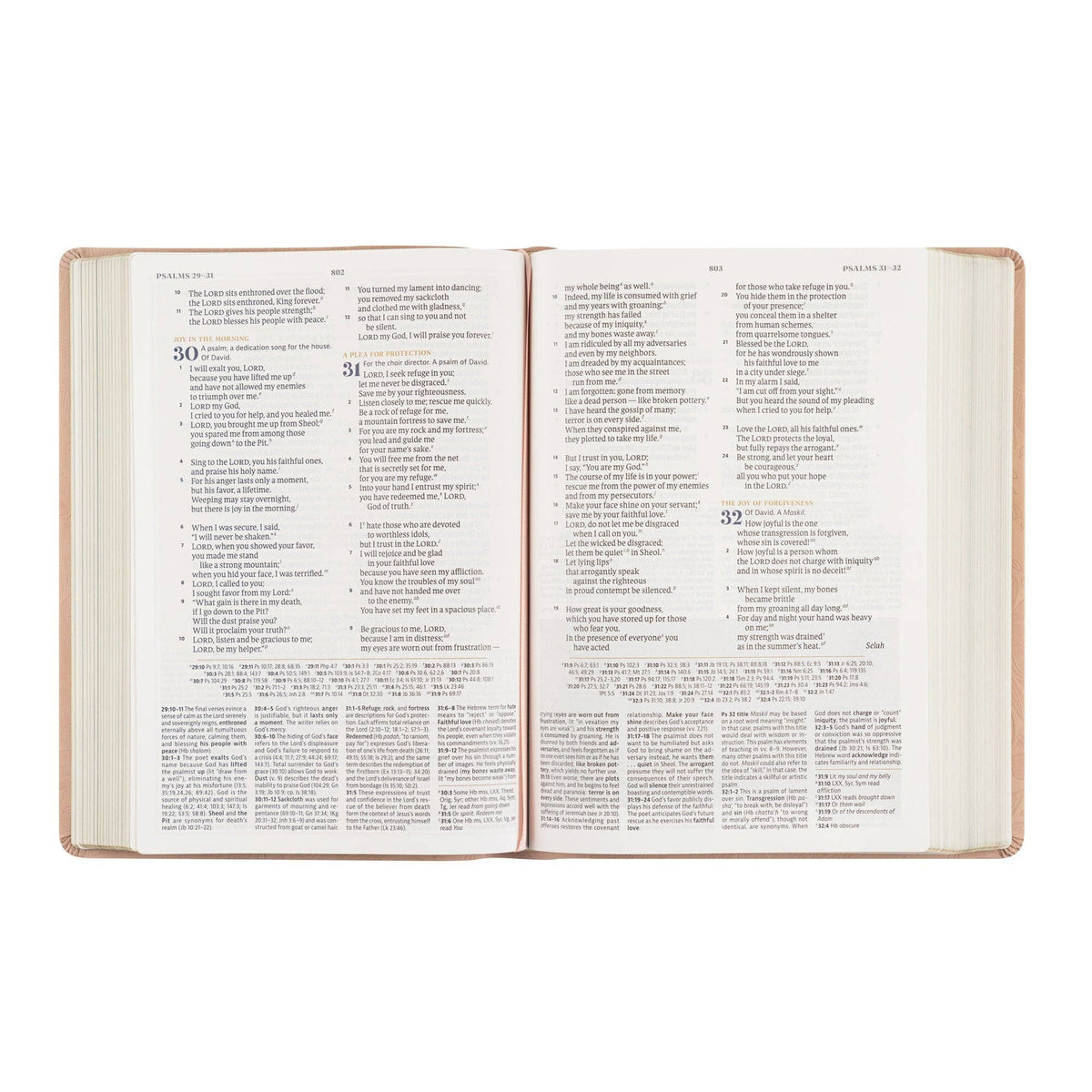 CSB Women's Study Bible: Sonora Theme