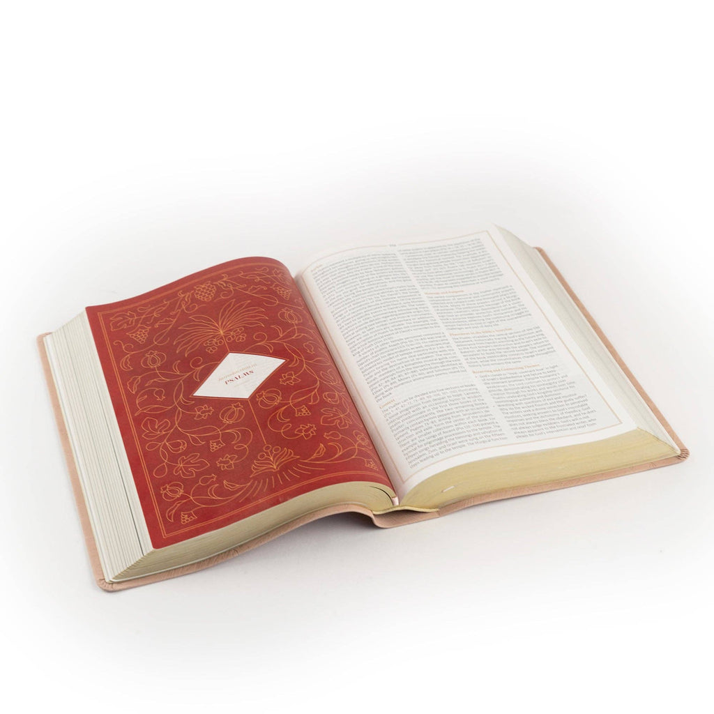 CSB Women's Study Bible: Sonora Theme