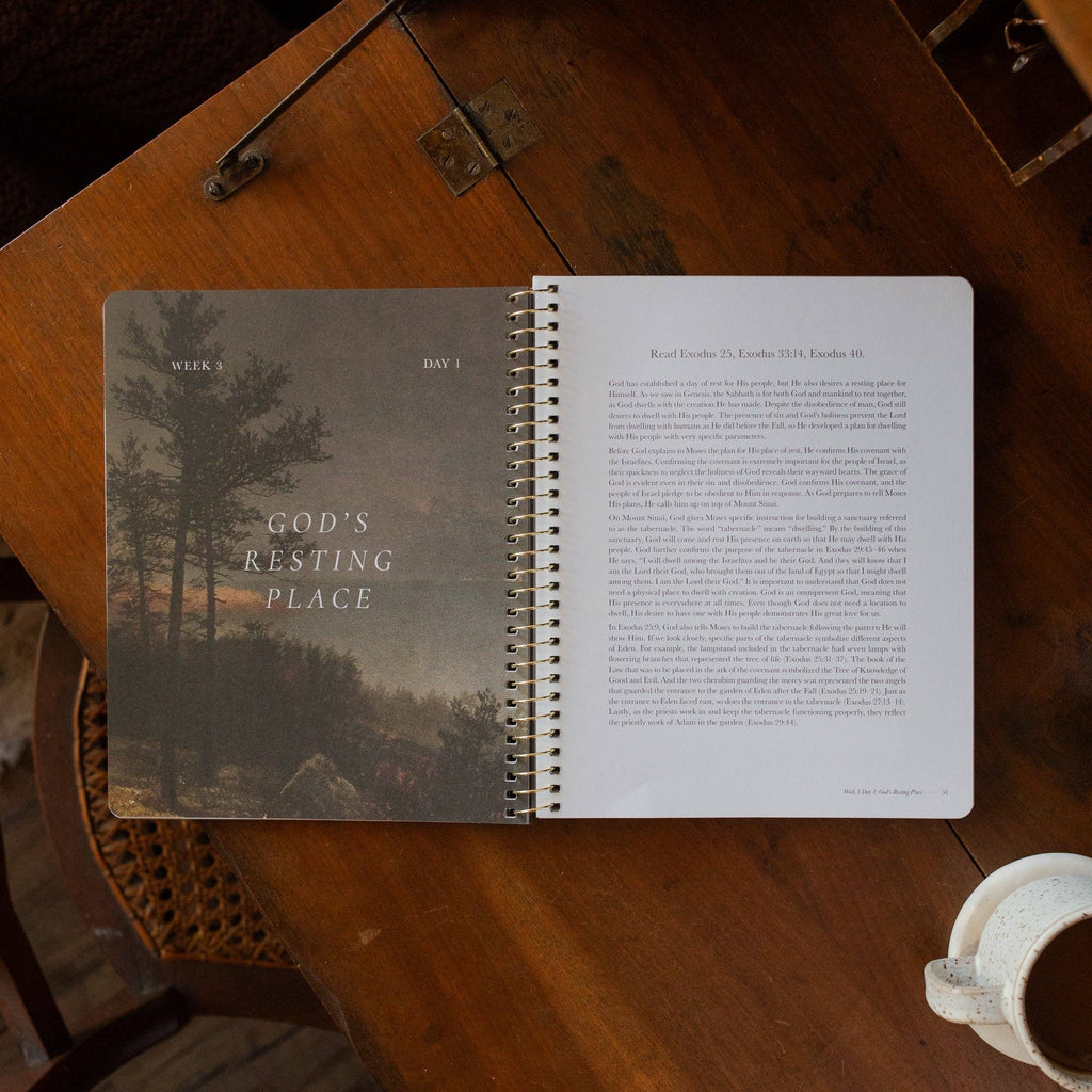 Made for Him Spiral Bible Study — Rest in Christ for Restless Hearts — 6 Week Bible Study for Women