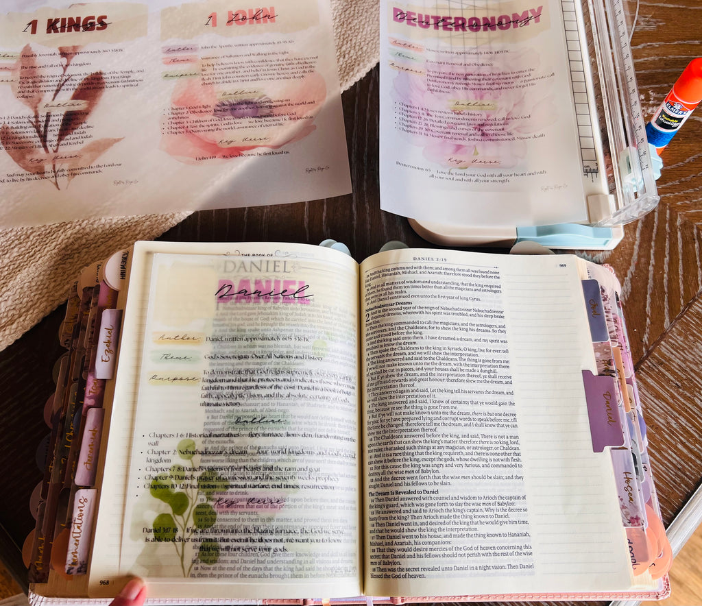 Bible Book Summary Insert Pack — Complete 66 Book Vellum inserts for Bible Journaling