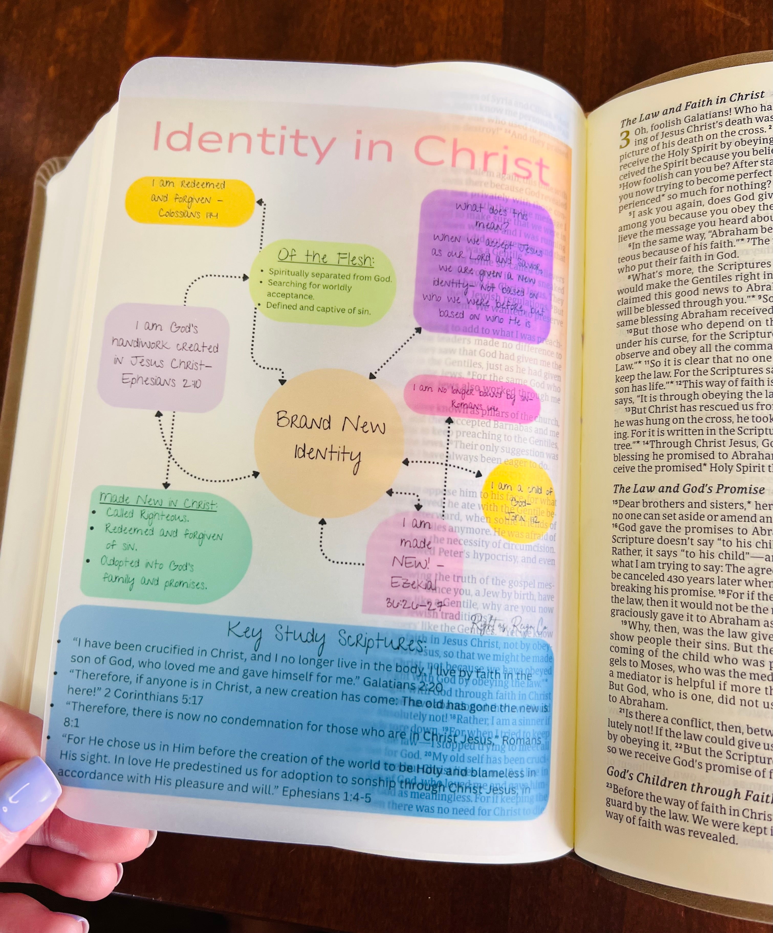 Identity in Christ — Bible Insert DIGITAL DOWNLOAD