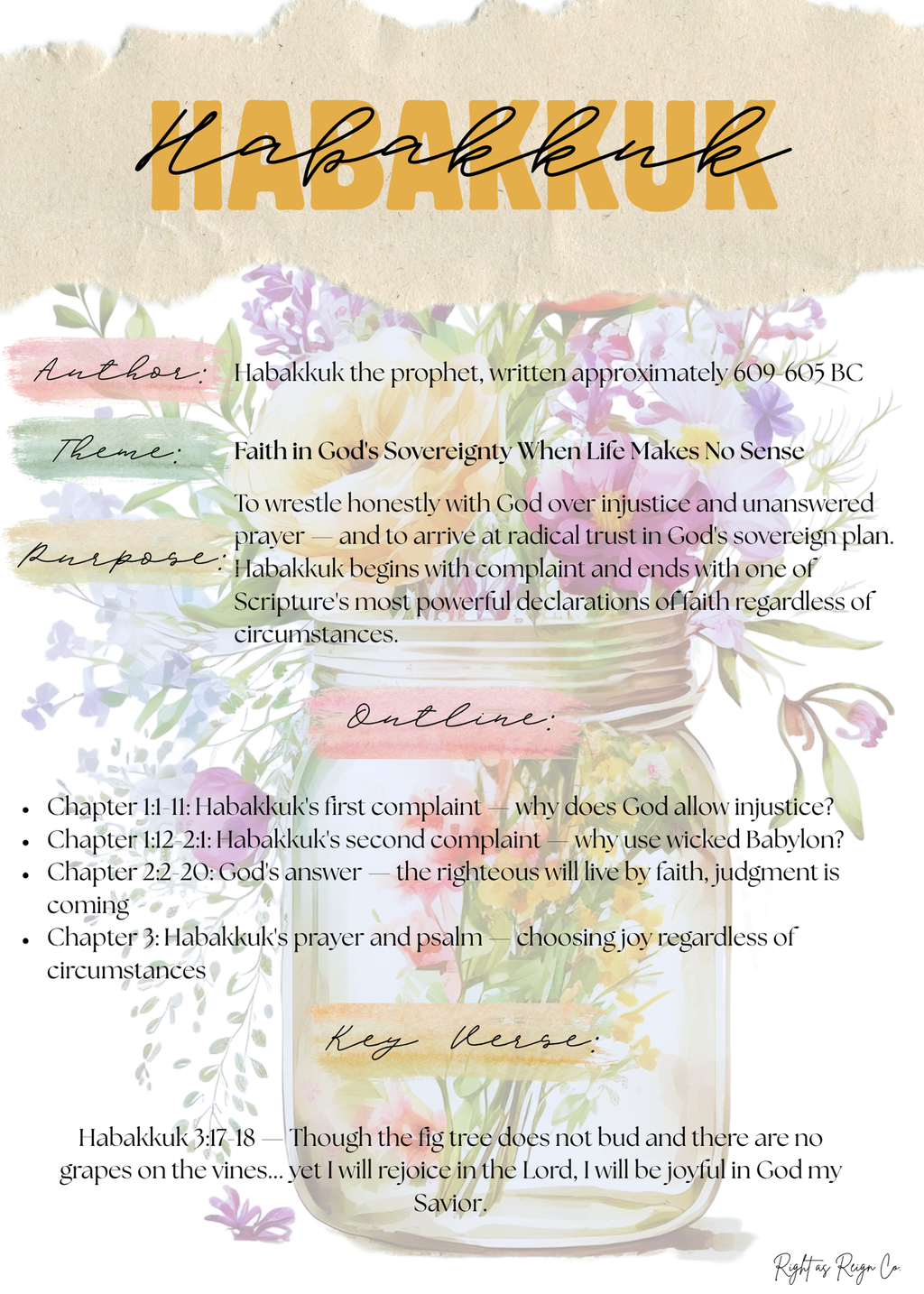 Bible Book Summary Insert Pack — Complete 66 Book Vellum inserts for Bible Journaling
