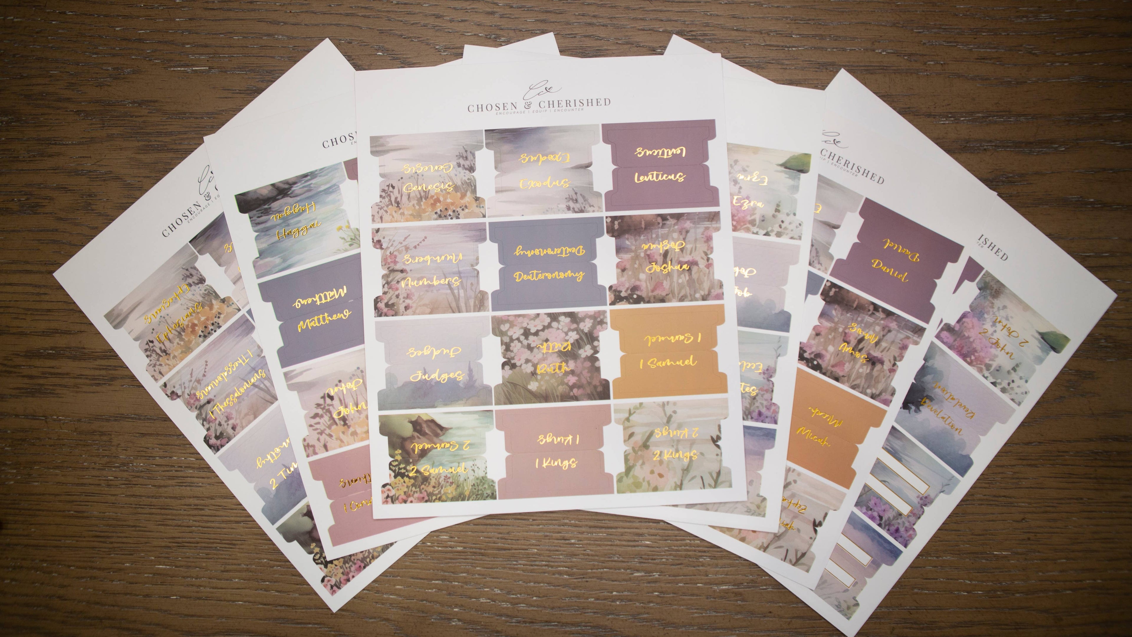 Pretty Bible Book Tabs | Bible Tabs