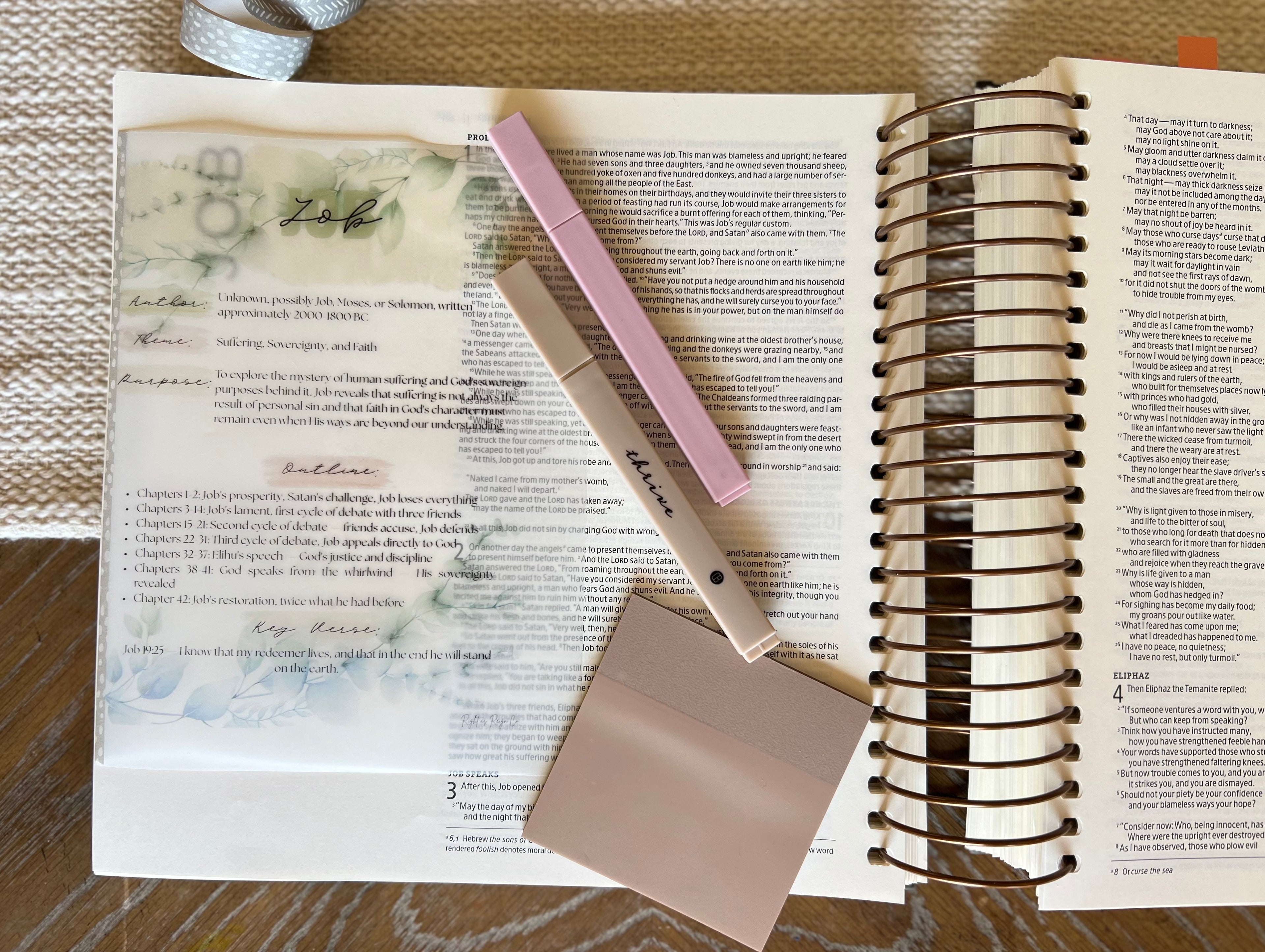 Bible Book Summary Insert Pack — Complete 66 Book Vellum inserts for Bible Journaling
