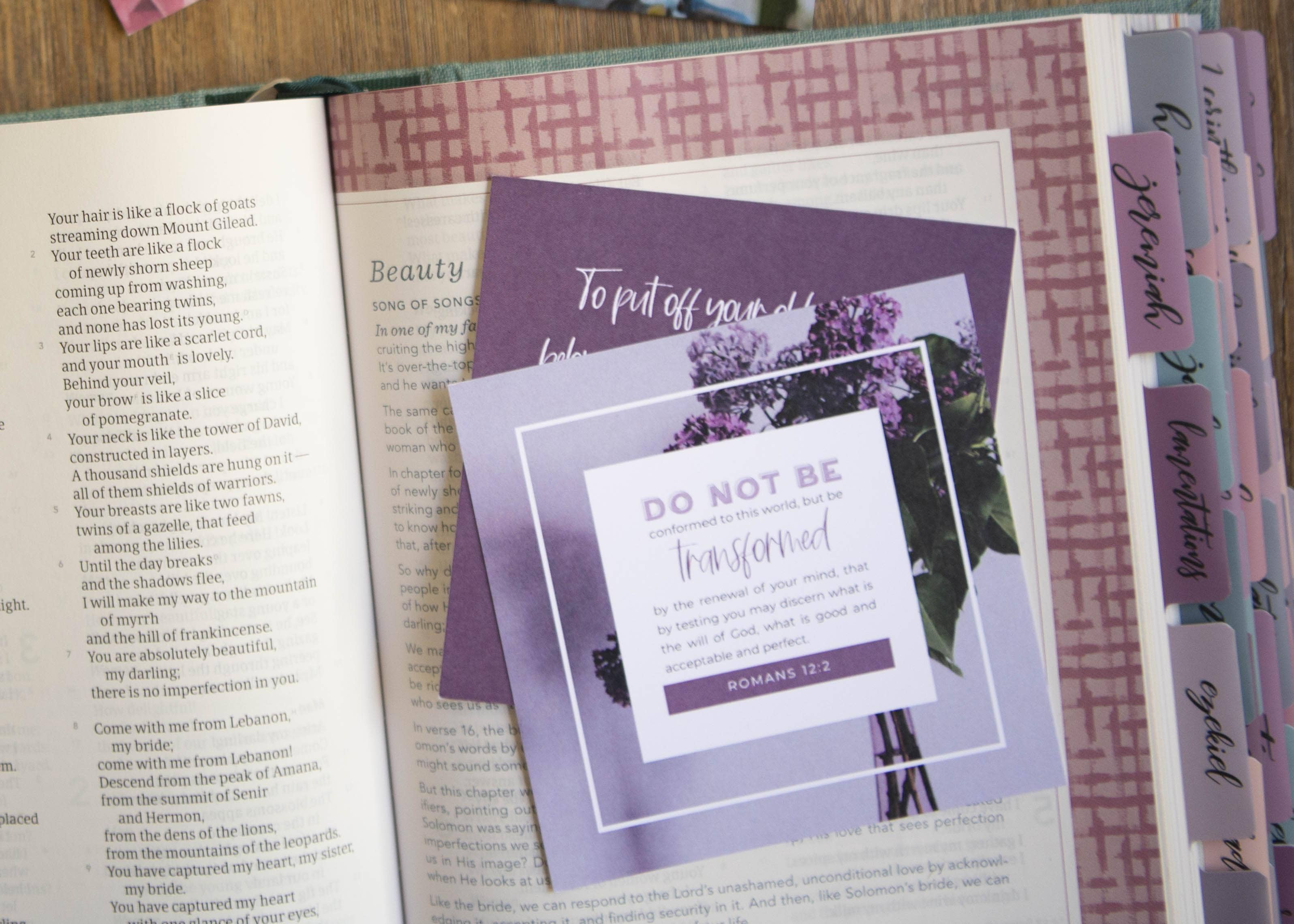 Renewing the Mind Verse Cards — Set of 10 Scripture Cards