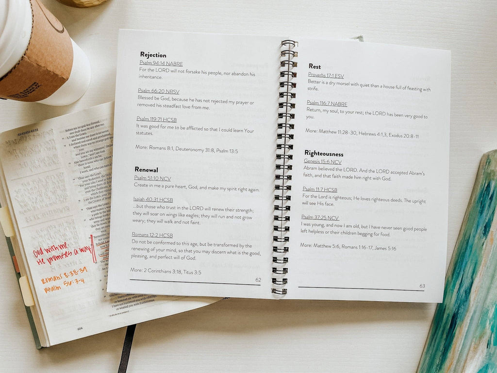 Warrior Words — Scripture Reference Tool for 100+ Emotions and Circumstances BACKORDER