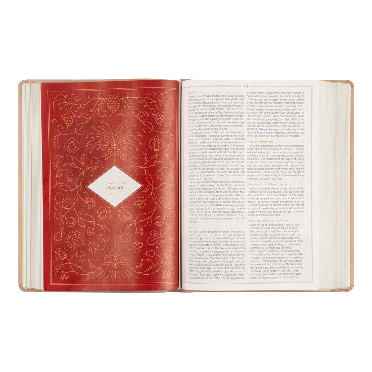 CSB Women's Study Bible: Sonora Theme