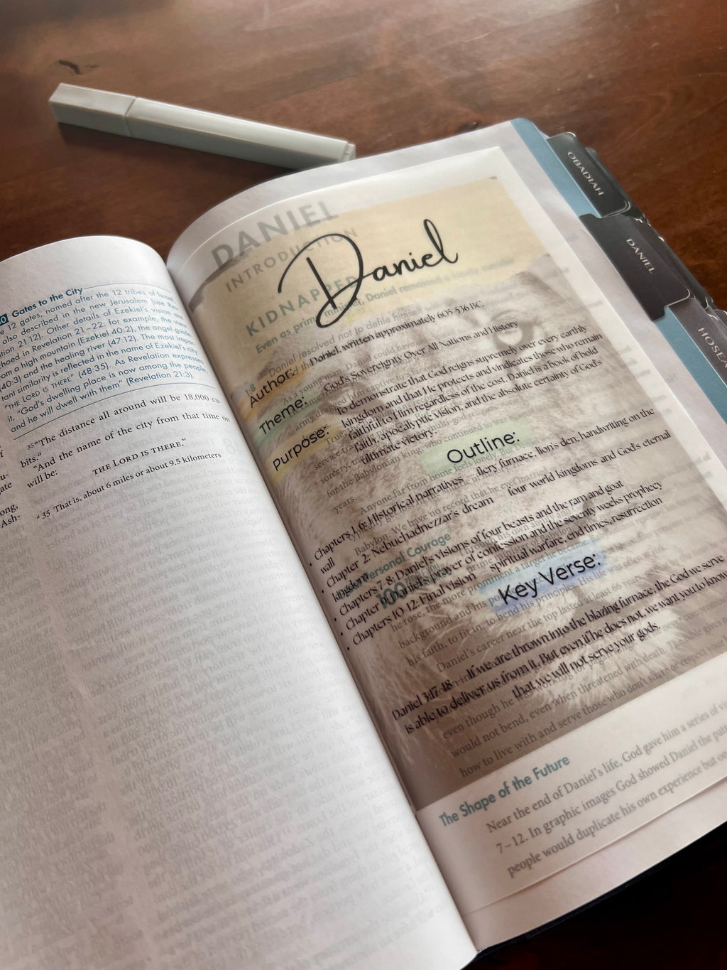 Men’s Bible Book Summary Insert Pack — Complete 66 Book Digital Download for Bible Journaling