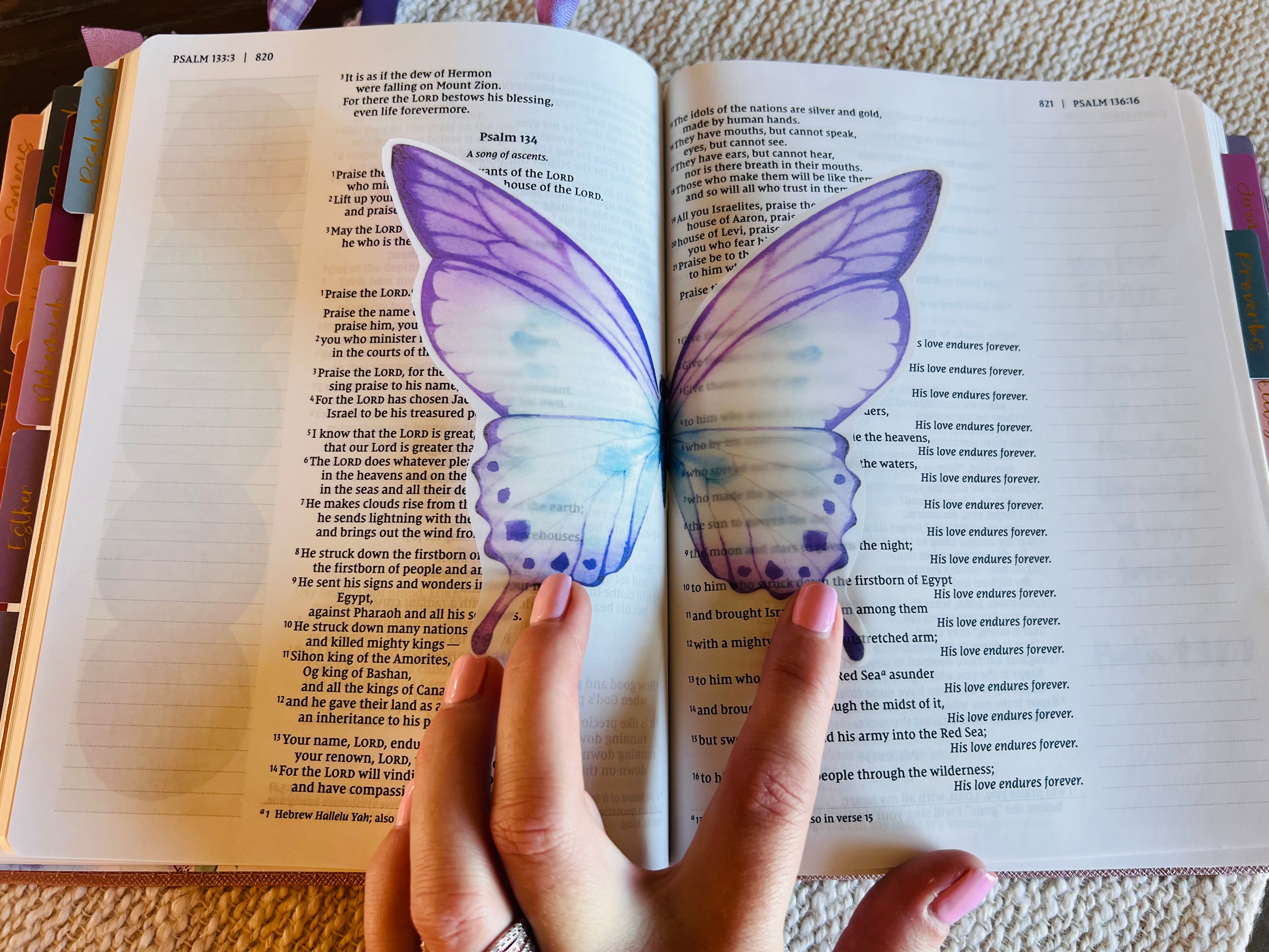 NLT Loaded Compact Bible PREORDER