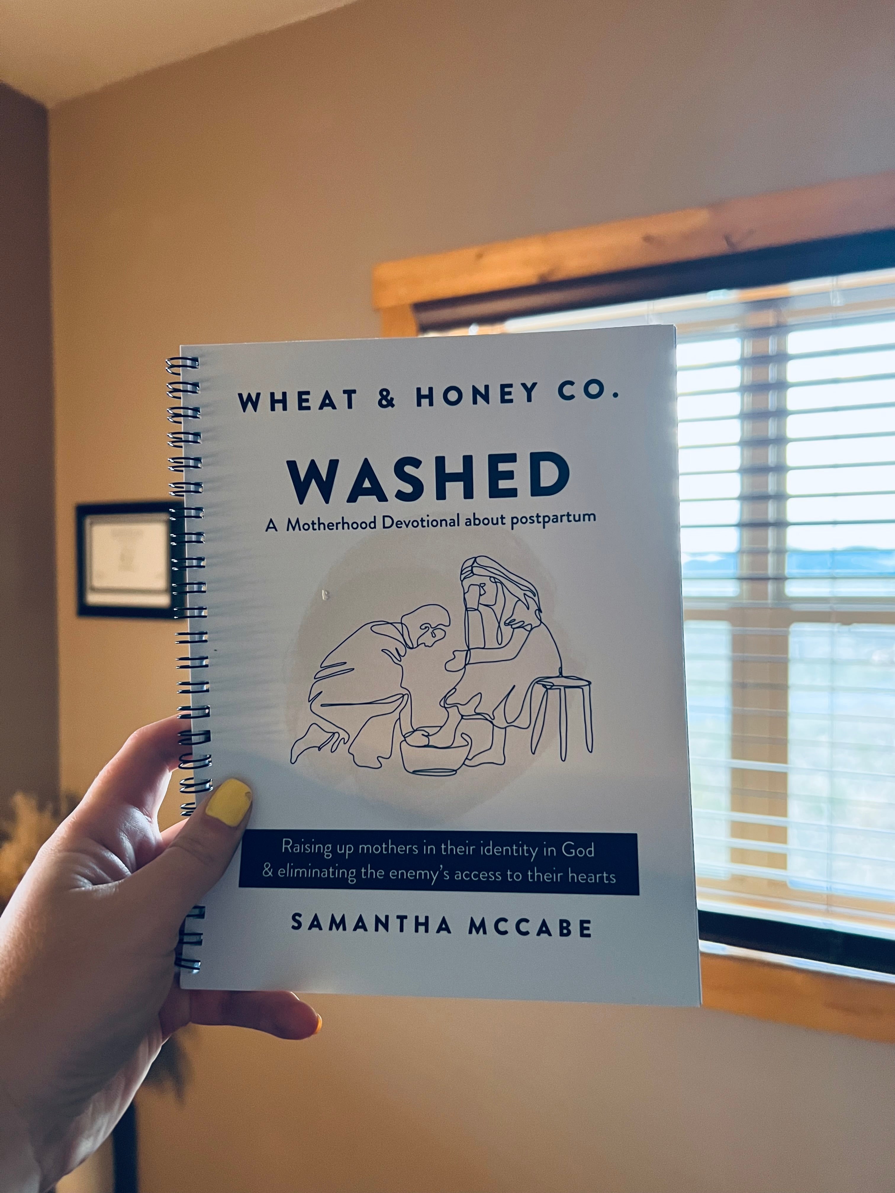 Washed: A Motherhood Devotional about Postpartum
