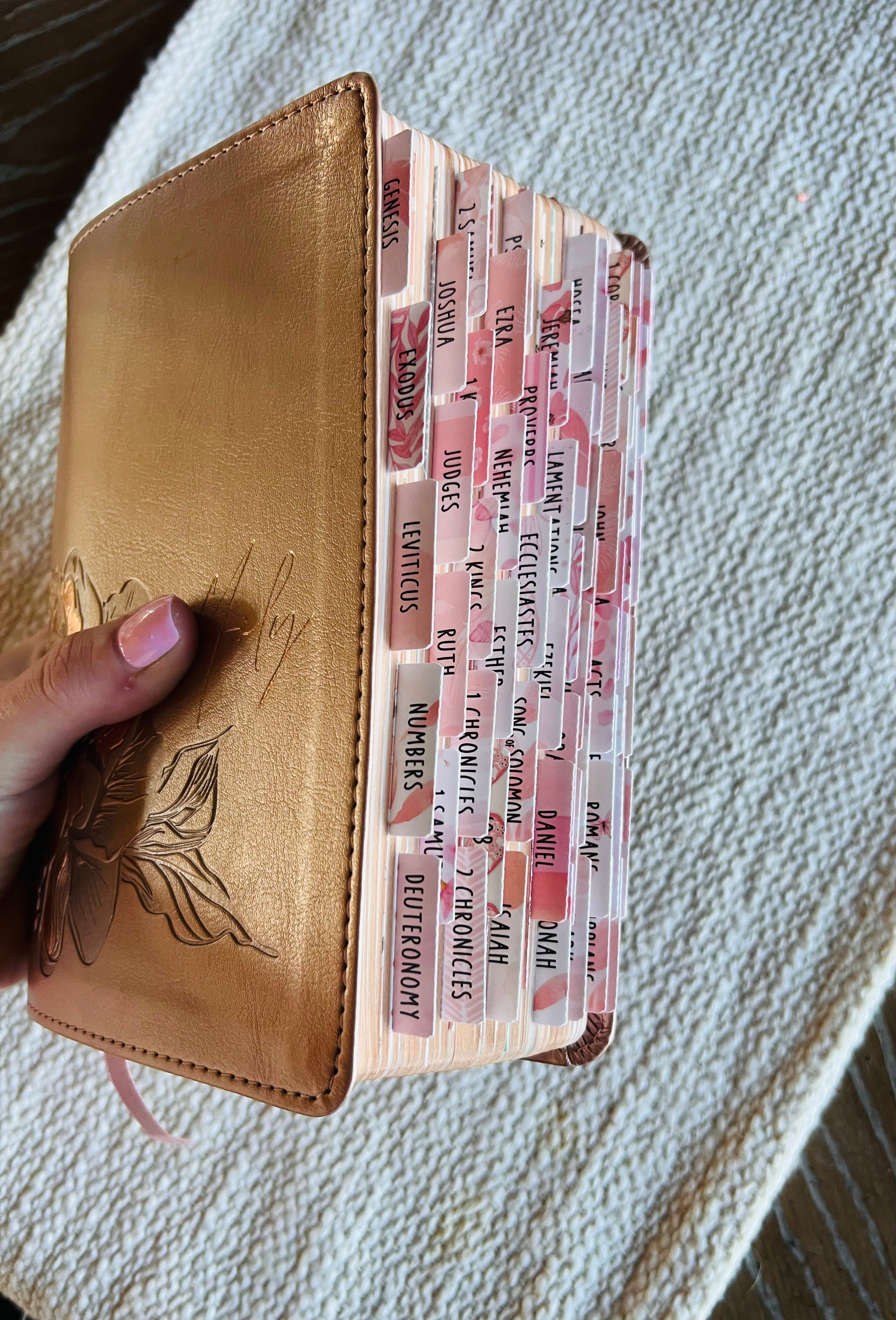 NLT Loaded Compact Bible PREORDER
