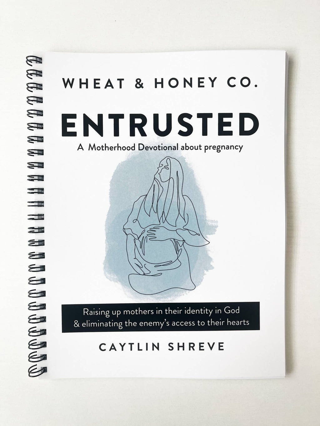 ENTRUSTED — A Motherhood Devotional About Pregnancy