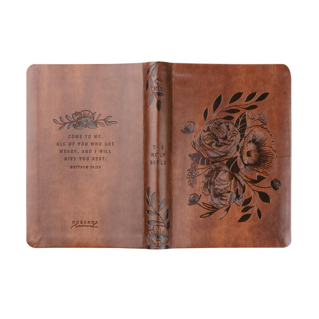 NLT Compact Bible | Aurora Theme